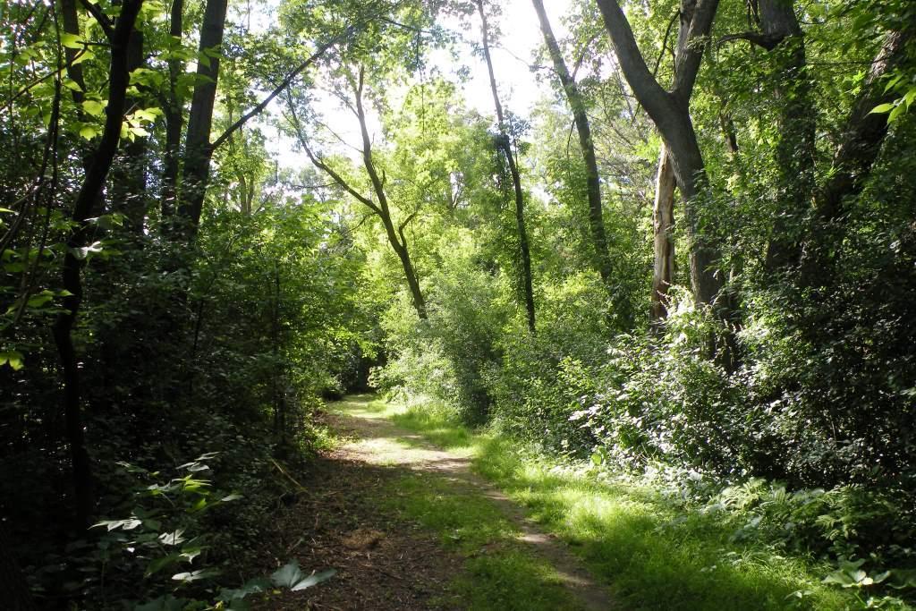 View of Residential at 1289 Donegal Bay, Woodbury MN 55125, Woodbury (56 of 61) - Mike Wilen | Minnesota Team Real Estate
