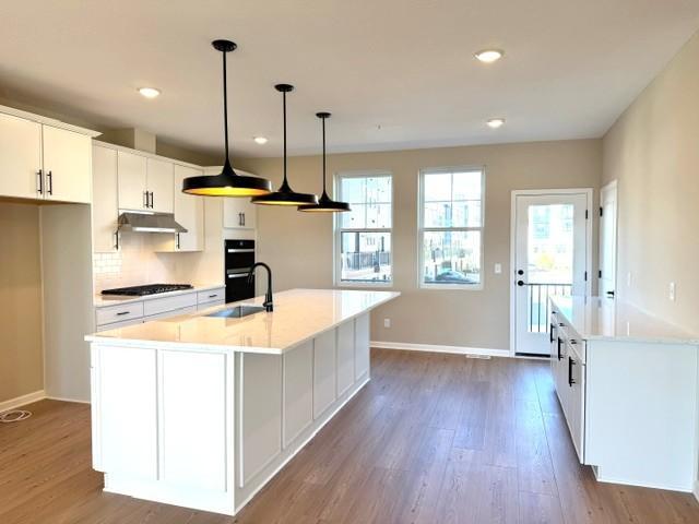 View of Residential at 2279 Beechwood Avenue, Saint Paul MN 55116, Saint Paul (7 of 39) - Mike Wilen | Minnesota Team Real Estate