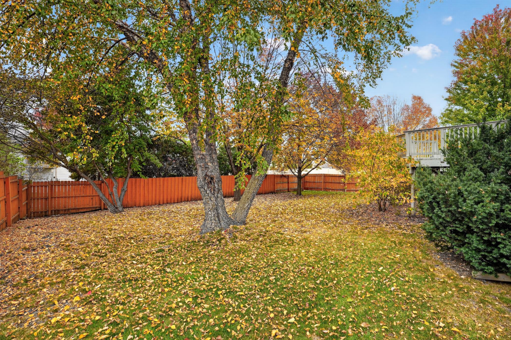 View of Residential at 9337 Austrian Pine Avenue, Brooklyn Park MN 55443, Brooklyn Park (46 of 54) - Mike Wilen | Minnesota Team Real Estate