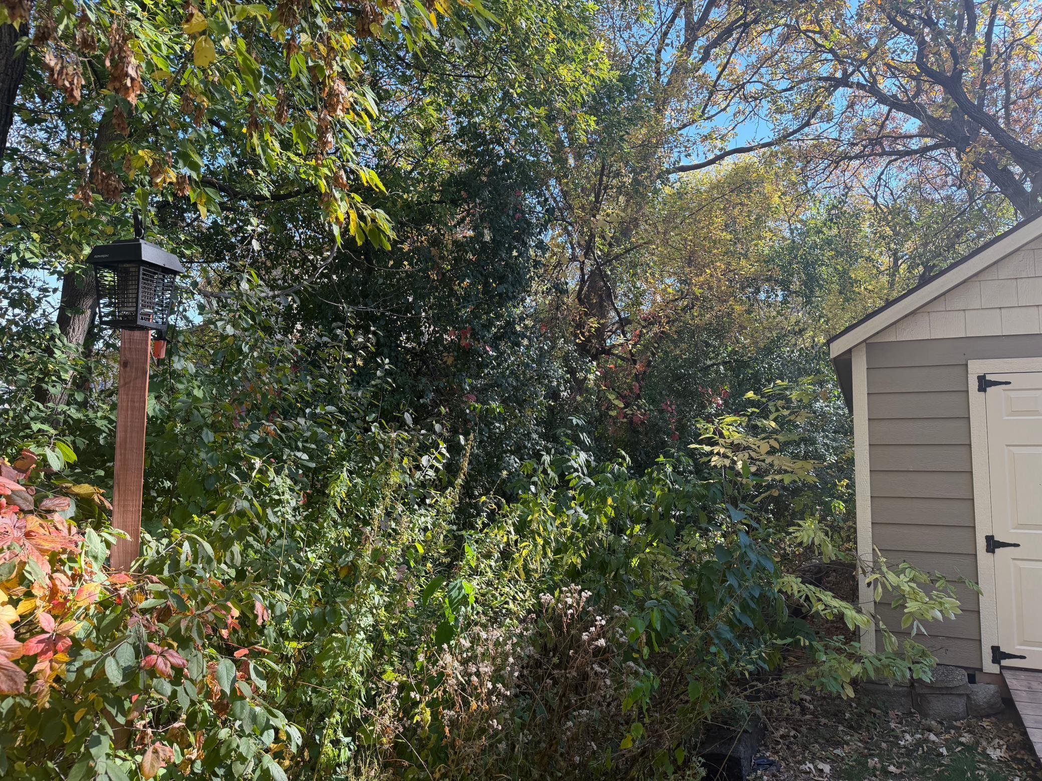 View of Residential at 14729 Krypton Street, Ramsey MN 55303, Ramsey (44 of 49) - Mike Wilen | Minnesota Team Real Estate