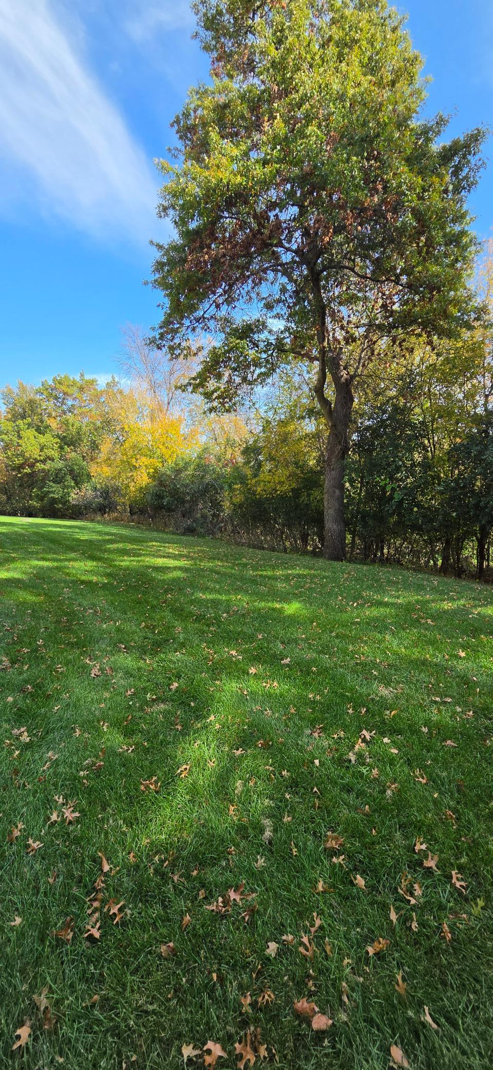 View of Residential at 12217 Drake Street, Coon Rapids MN 55448, Coon Rapids (41 of 45) - Mike Wilen | Minnesota Team Real Estate