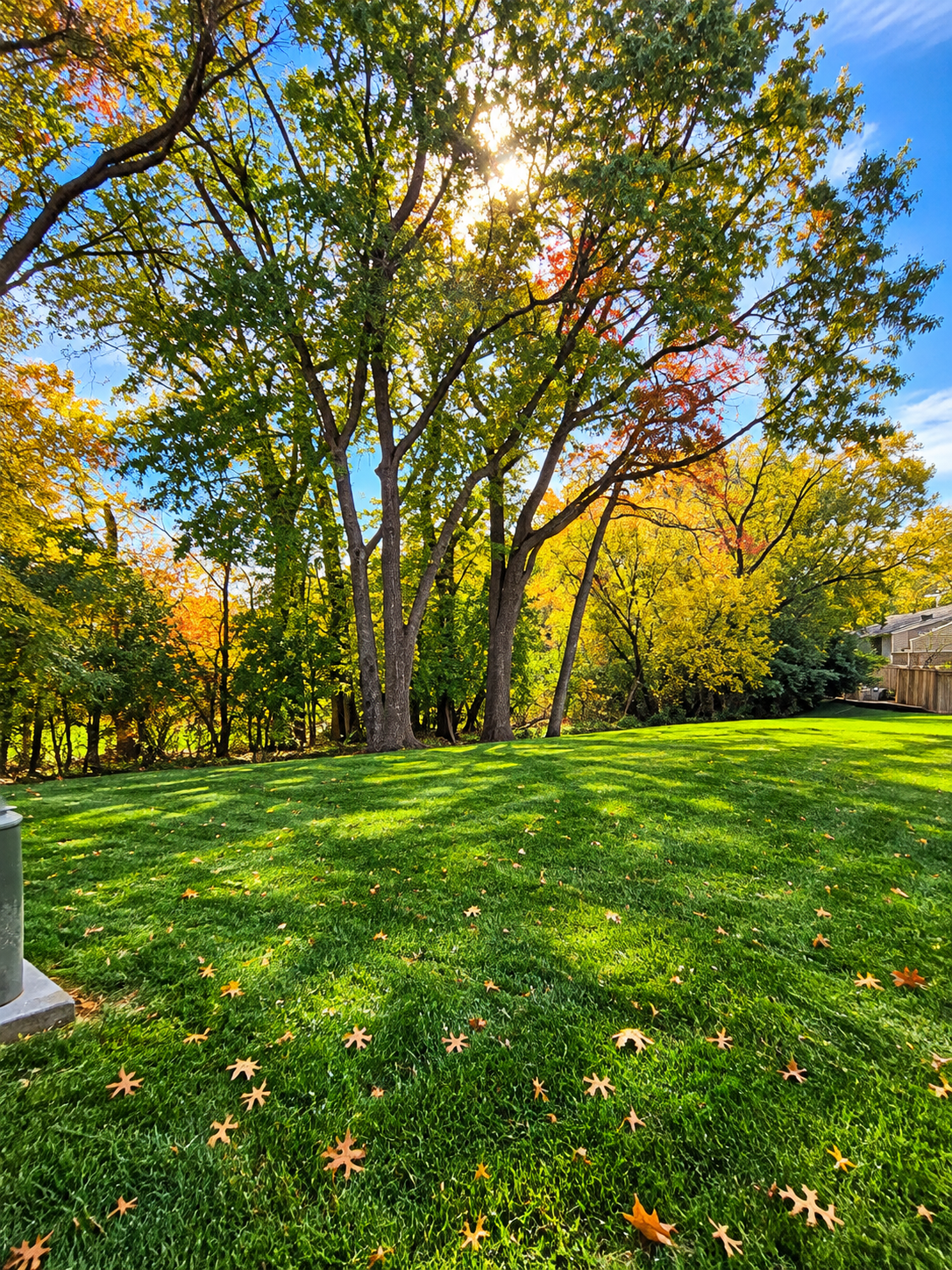 View of Residential at 12217 Drake Street, Coon Rapids MN 55448, Coon Rapids (43 of 45) - Mike Wilen | Minnesota Team Real Estate
