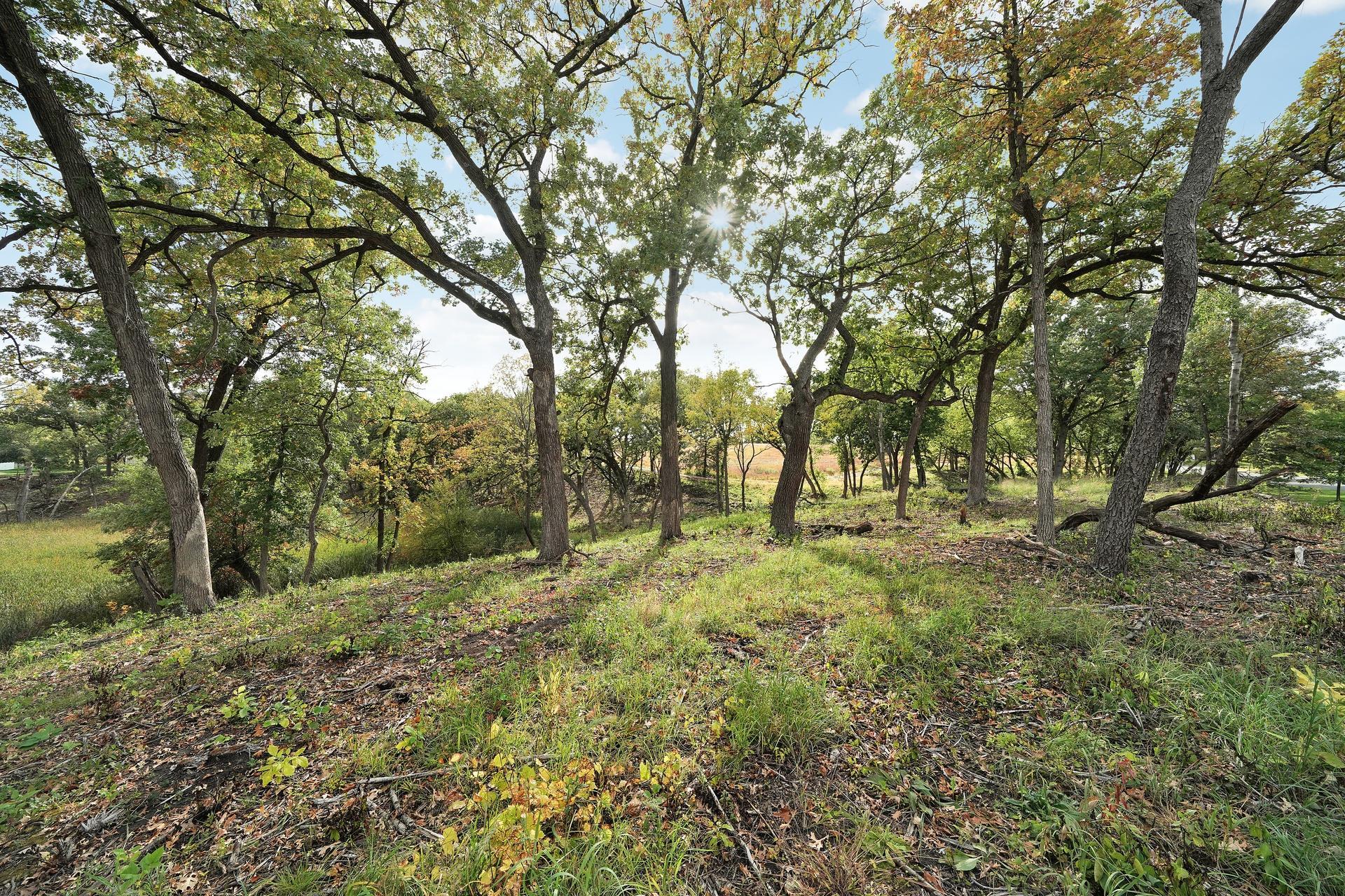 View of Residential at 9716 Oxborough Road, Bloomington MN 55437, Bloomington (41 of 54) - Mike Wilen | Minnesota Team Real Estate