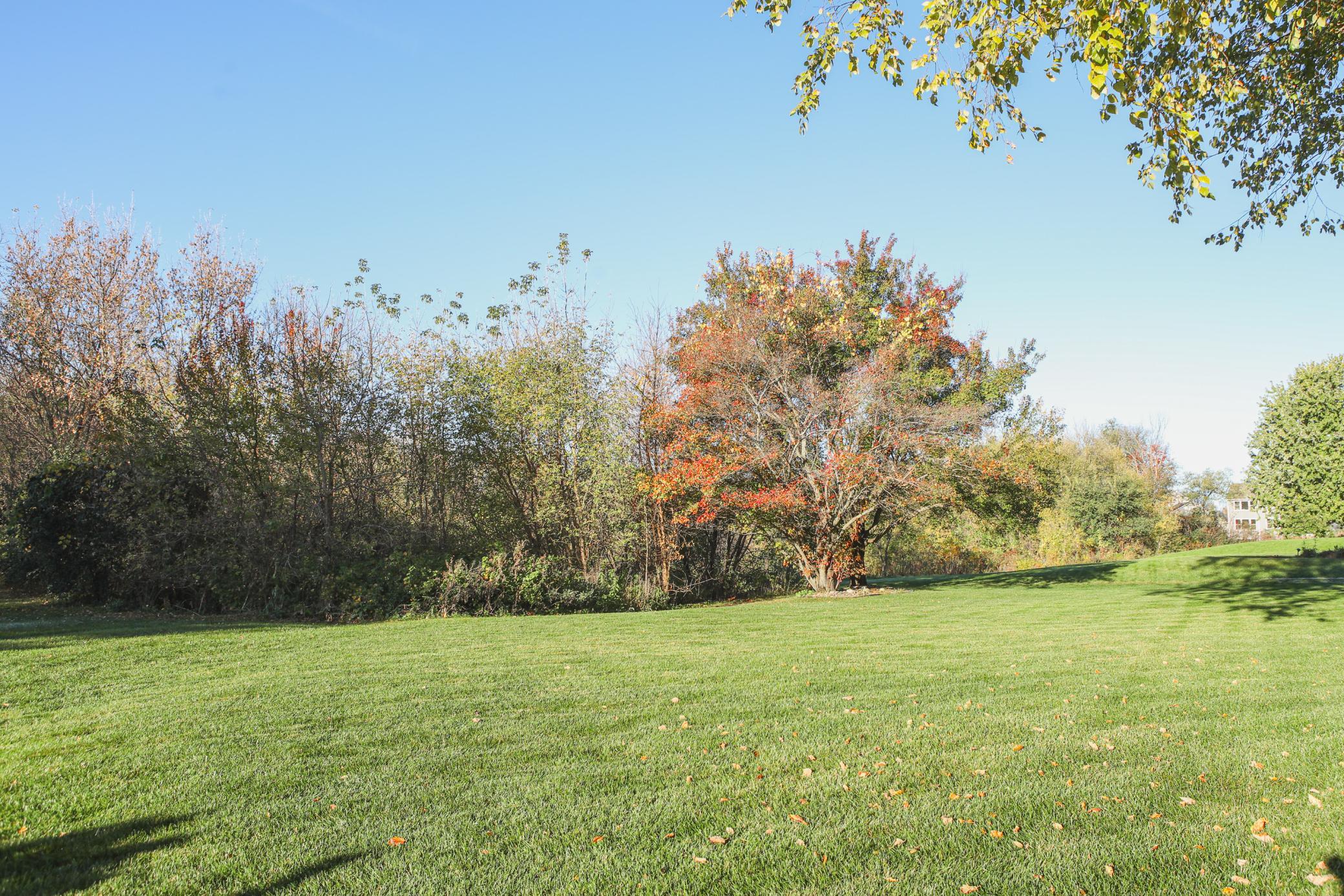 View of Residential at 2052 Silver Street, Waconia MN 55387, Waconia (5 of 26) - Mike Wilen | Minnesota Team Real Estate