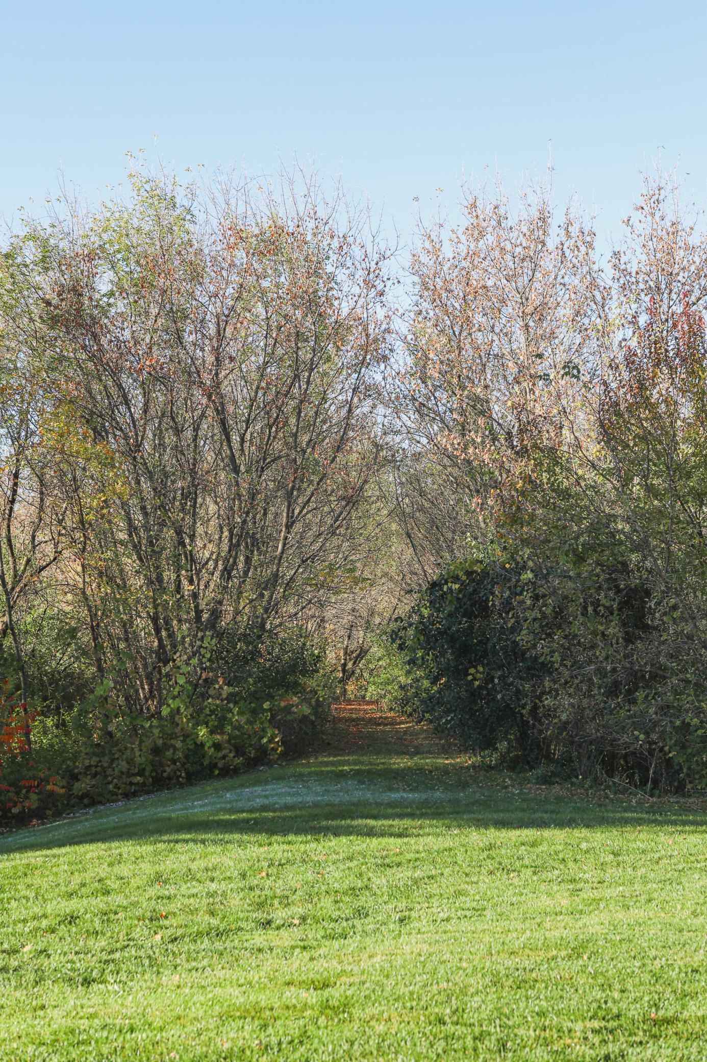 View of Residential at 2052 Silver Street, Waconia MN 55387, Waconia (7 of 26) - Mike Wilen | Minnesota Team Real Estate