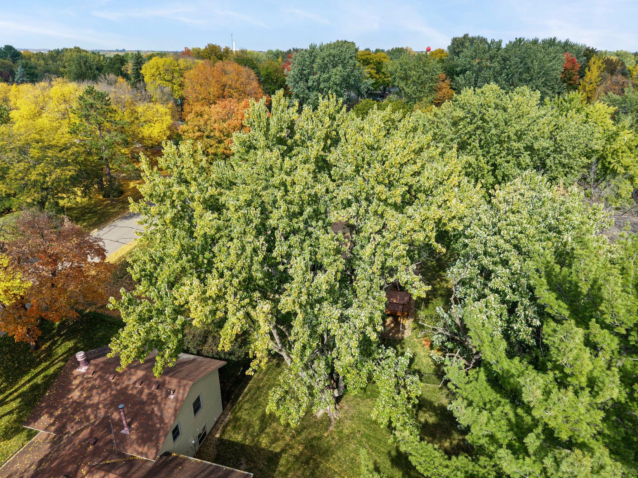 View of Residential at 8365 Heather Avenue, Eden Prairie MN 55347, Eden Prairie (62 of 64) - Mike Wilen | Minnesota Team Real Estate