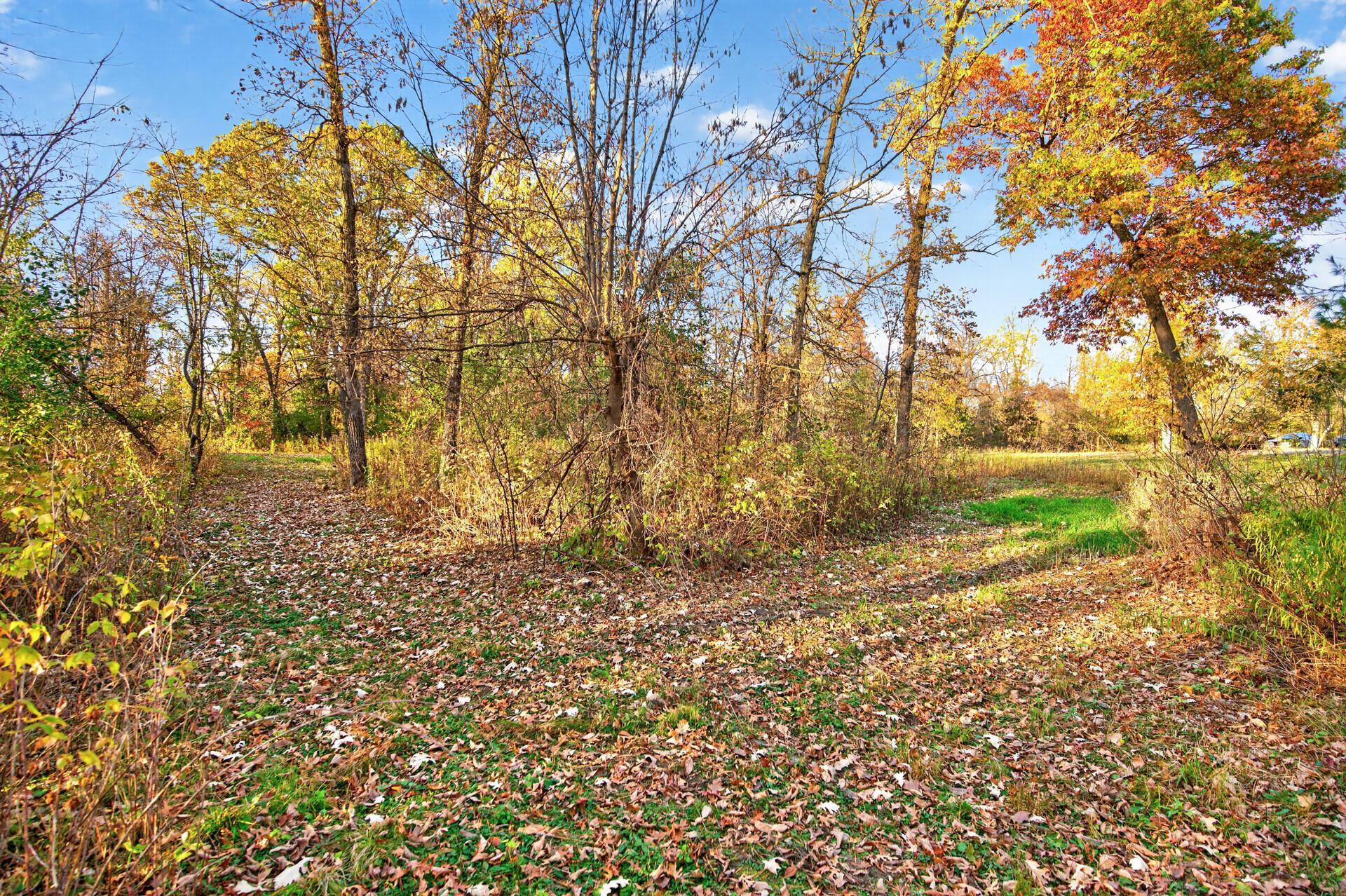 View of Residential at 30032 154th Street, Zimmerman MN 55398, Zimmerman (46 of 63) - Mike Wilen | Minnesota Team Real Estate