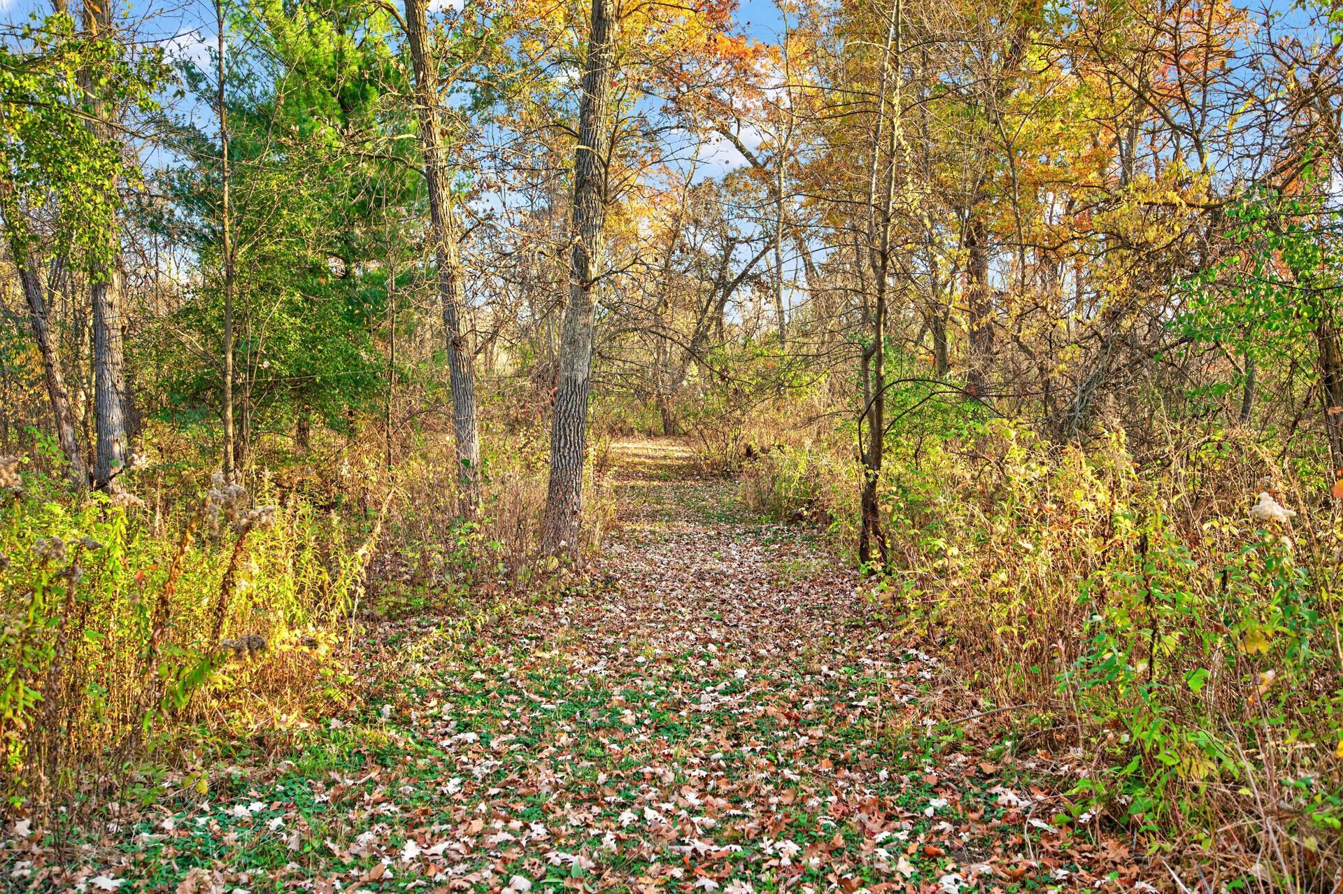View of Residential at 30032 154th Street, Zimmerman MN 55398, Zimmerman (5 of 63) - Mike Wilen | Minnesota Team Real Estate