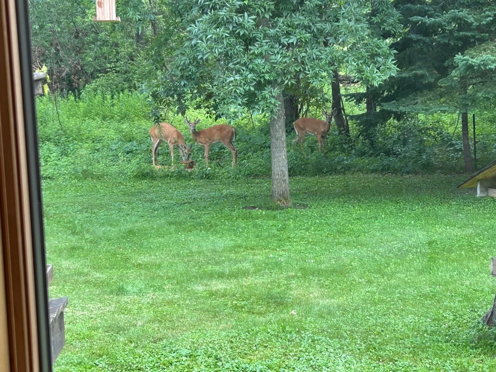 View of Residential at 30032 154th Street, Zimmerman MN 55398, Zimmerman (61 of 63) - Mike Wilen | Minnesota Team Real Estate