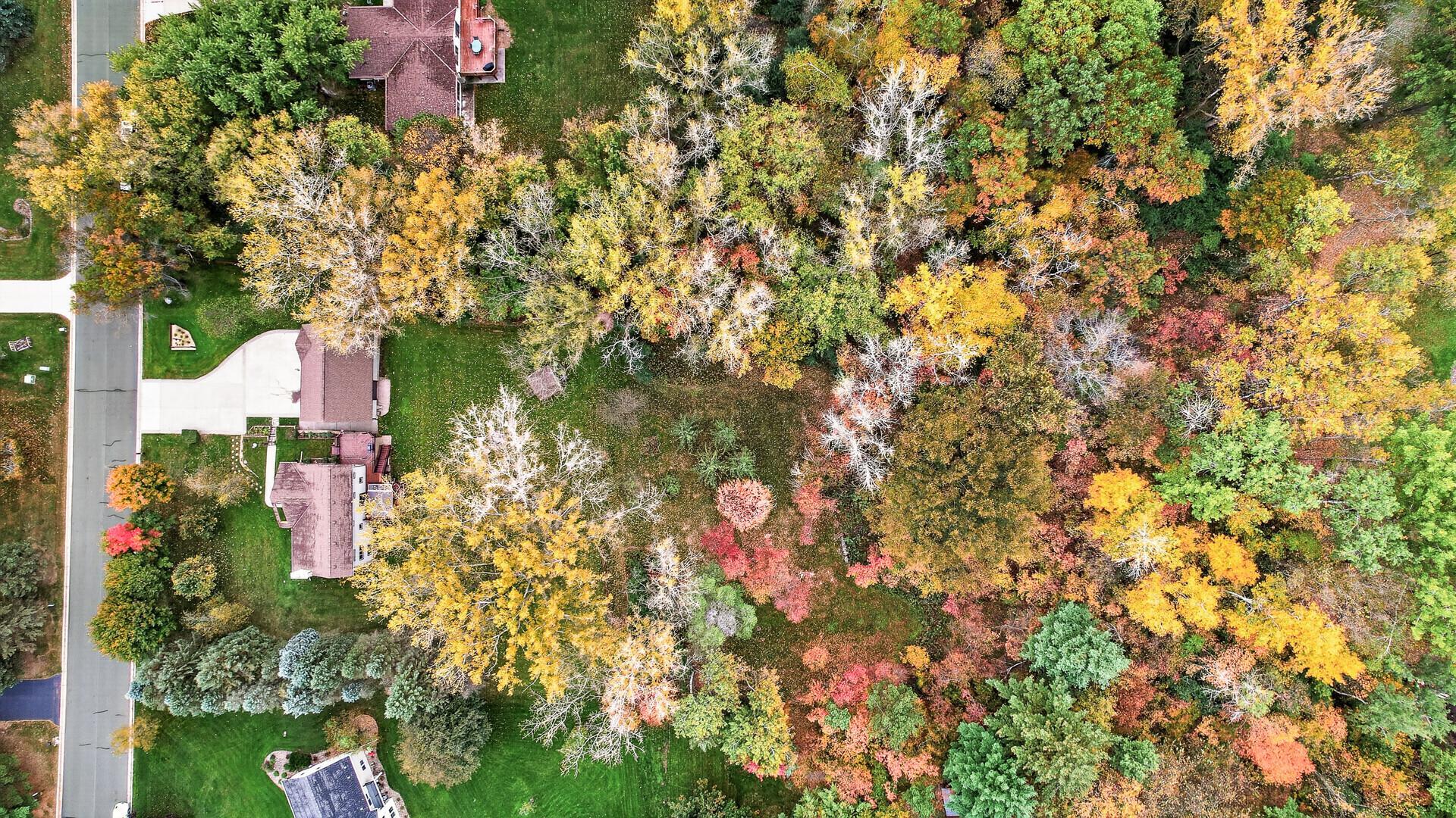 View of Residential at 4990 Jamaca Avenue, Lake Elmo MN 55042, Lake Elmo (22 of 32) - Mike Wilen | Minnesota Team Real Estate