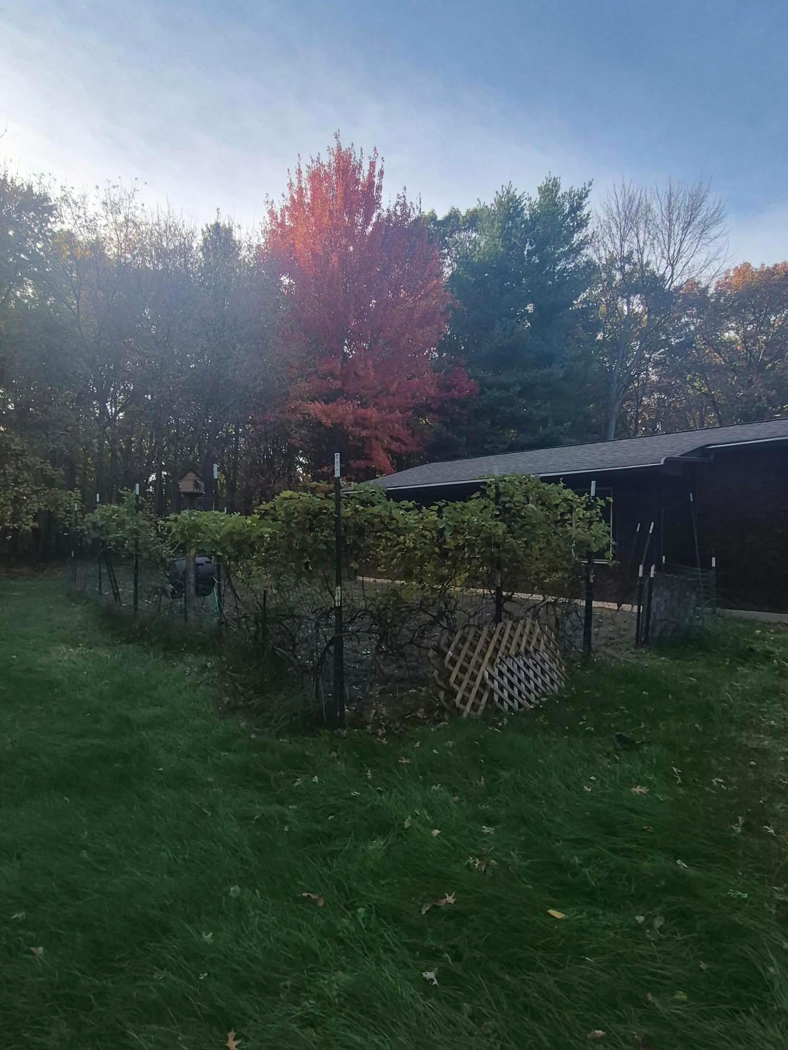 View of Residential at 1672 269th Avenue, Isanti MN 55040, Isanti (10 of 33) - Mike Wilen | Minnesota Team Real Estate