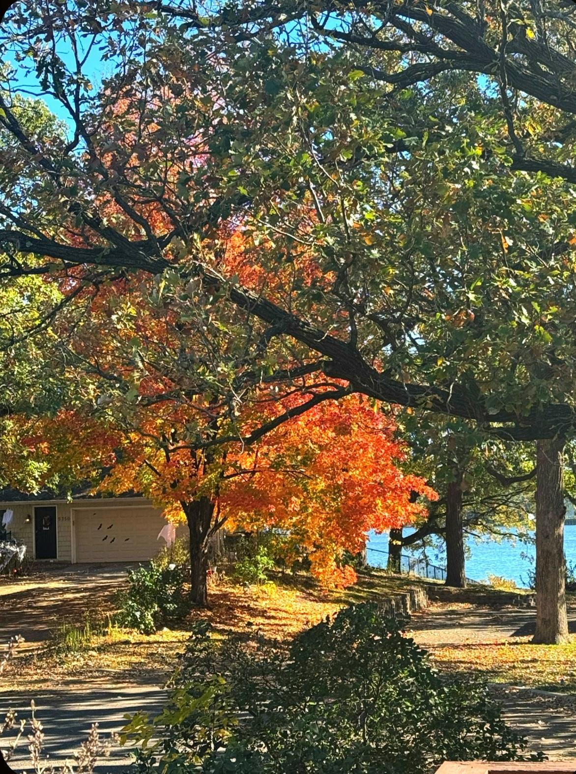 View of Residential at 5330 Perry Avenue, Crystal MN 55429, Crystal (3 of 59) - Mike Wilen | Minnesota Team Real Estate