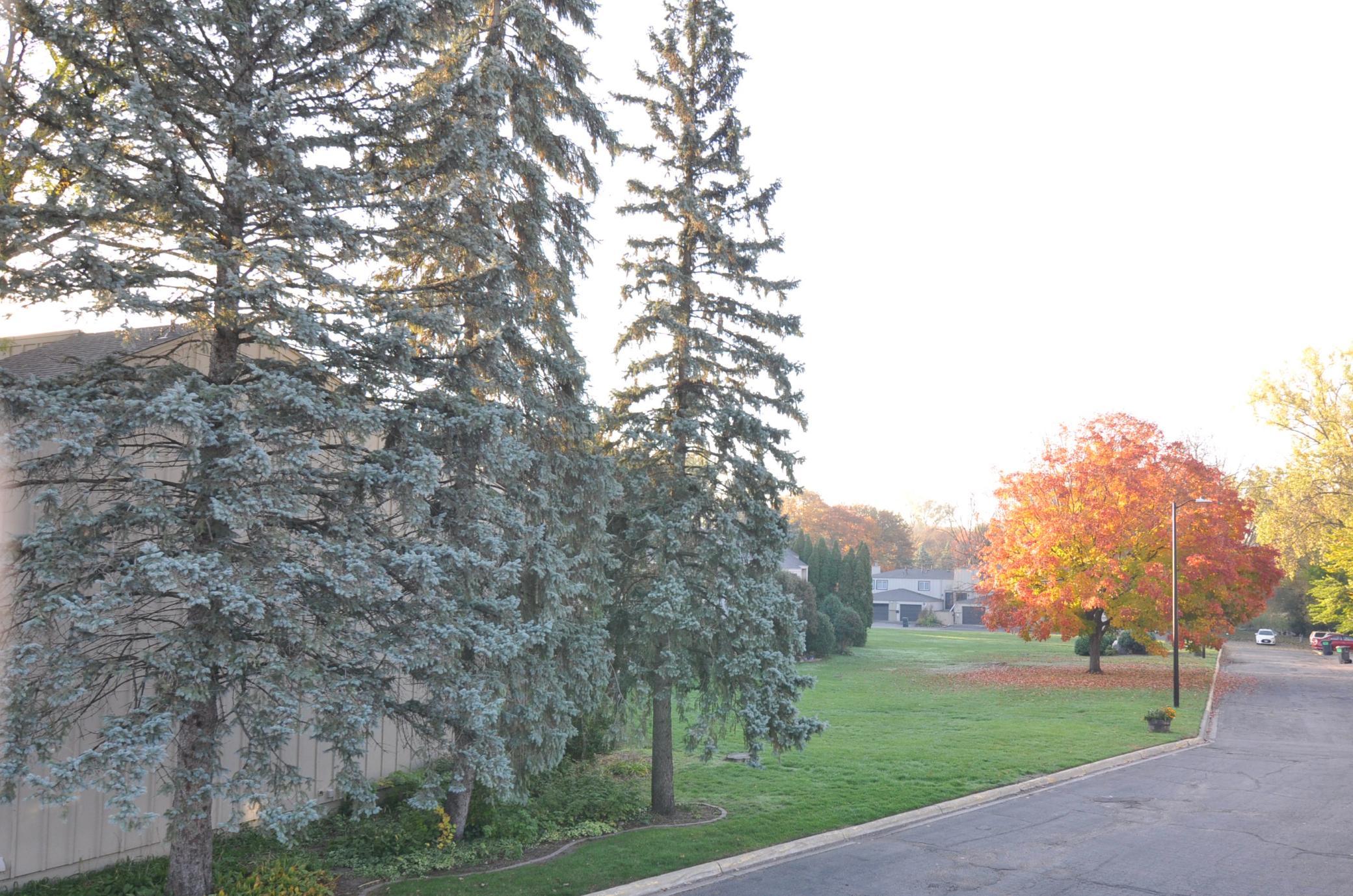 View of Residential at 5845 Lake Curve Lane, Brooklyn Center MN 55429, Brooklyn Center (46 of 47) - Mike Wilen | Minnesota Team Real Estate