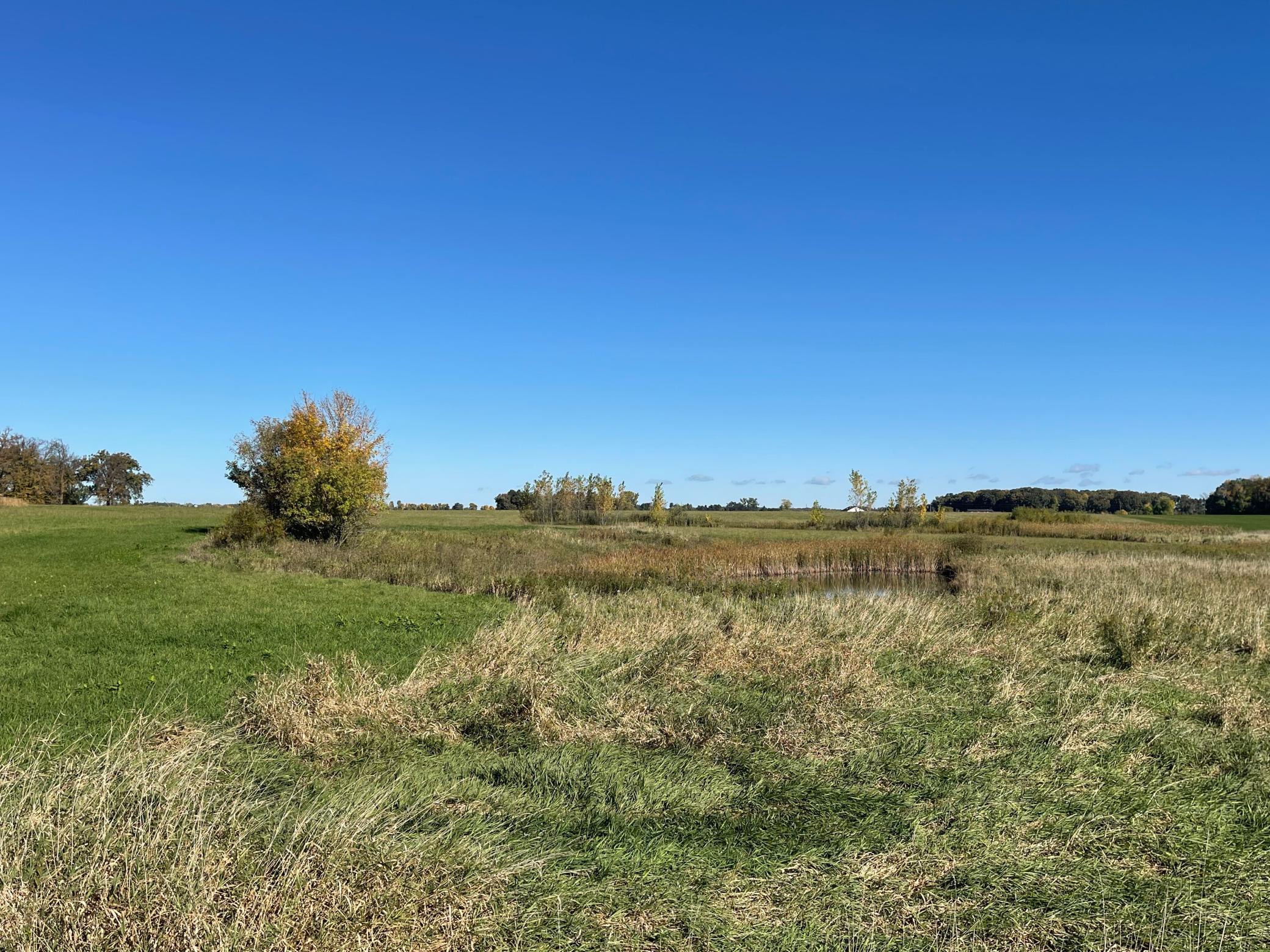 View of Land at TBD XXX 75th Street, Princeton MN 55371, Princeton (5 of 8) - Mike Wilen | Minnesota Team Real Estate