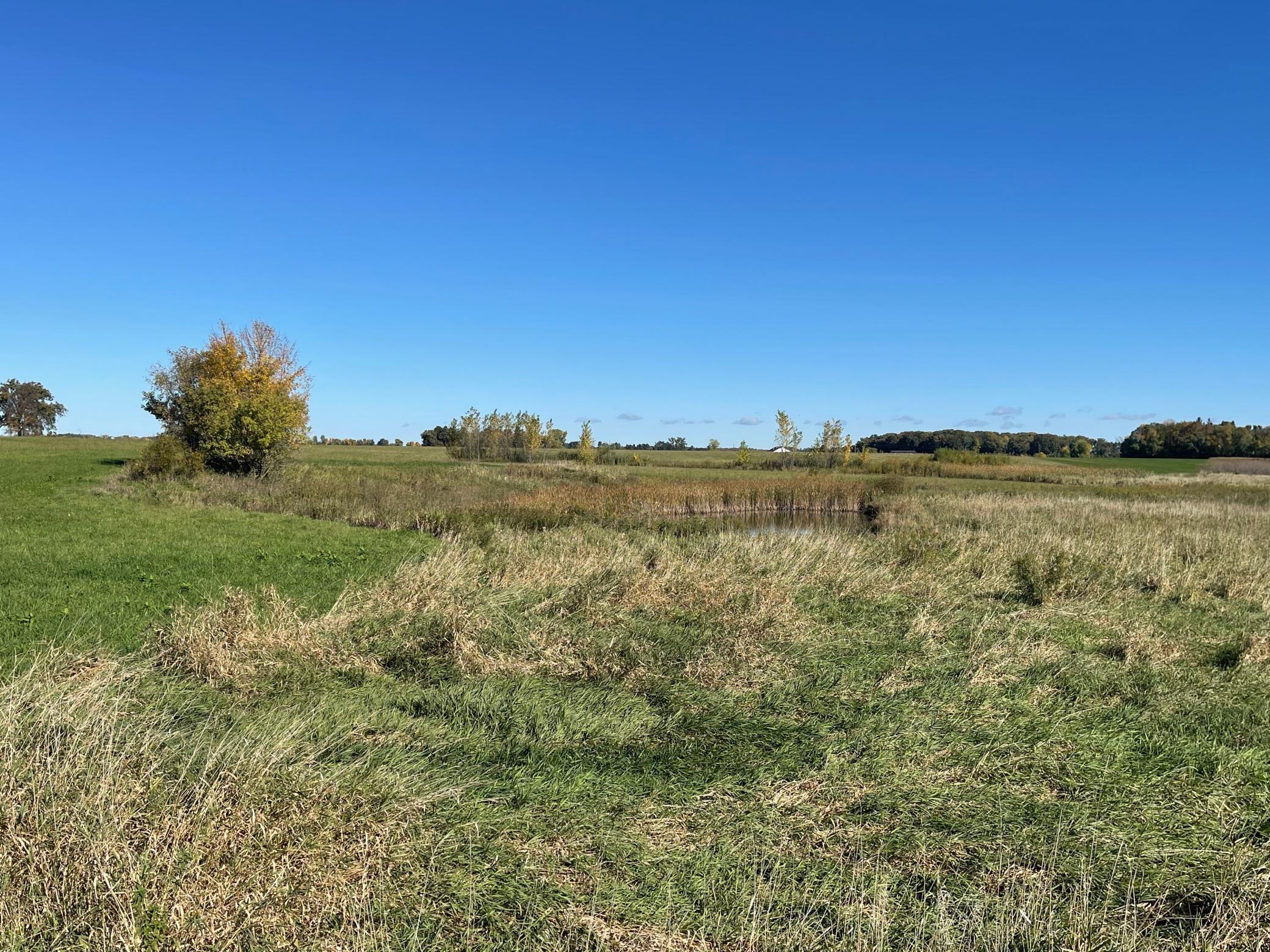 View of Land at TBD XXX 75th Street, Princeton MN 55371, Princeton (4 of 8) - Mike Wilen | Minnesota Team Real Estate