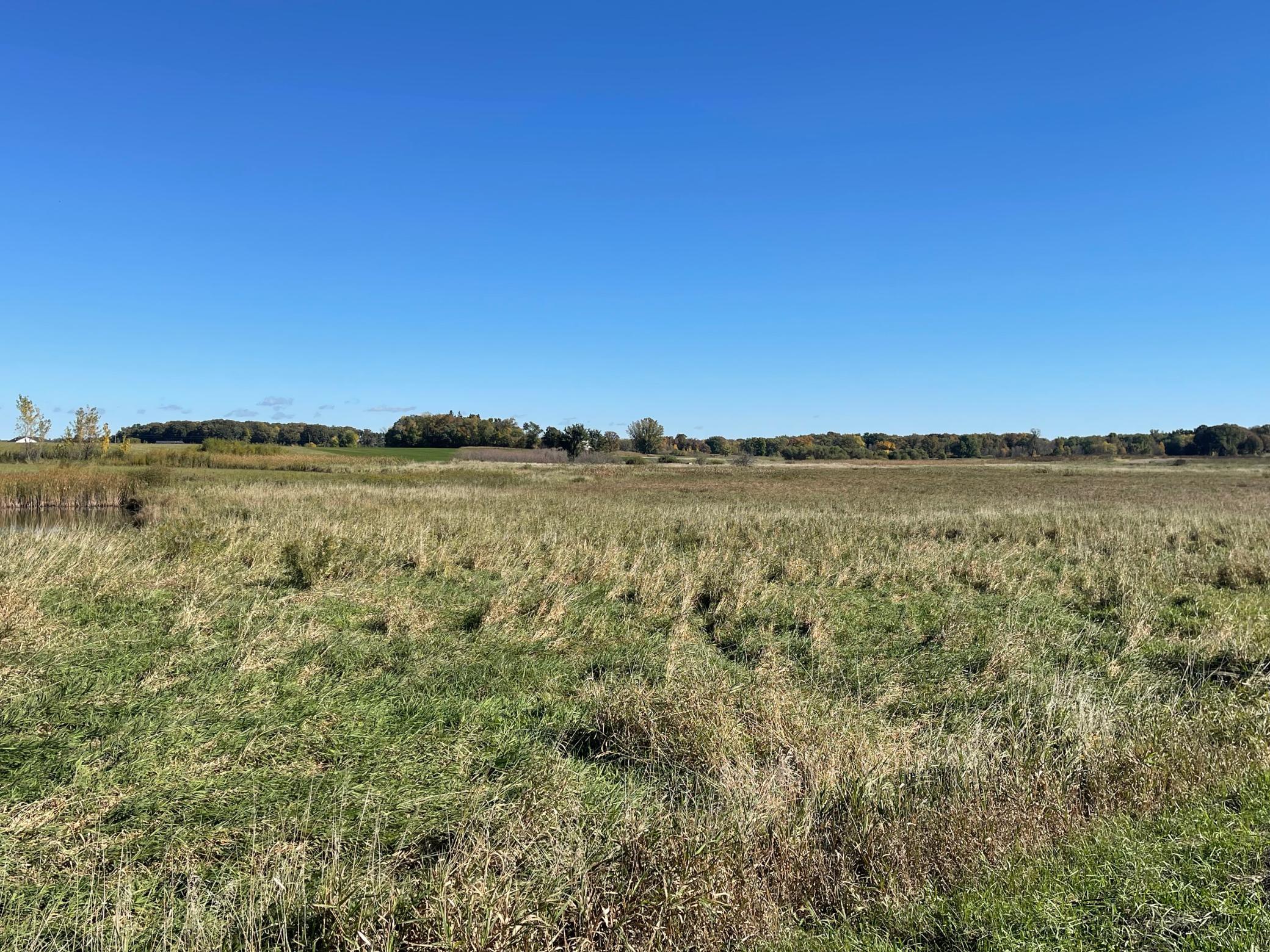 View of Land at TBD XXX 75th Street, Princeton MN 55371, Princeton (3 of 8) - Mike Wilen | Minnesota Team Real Estate