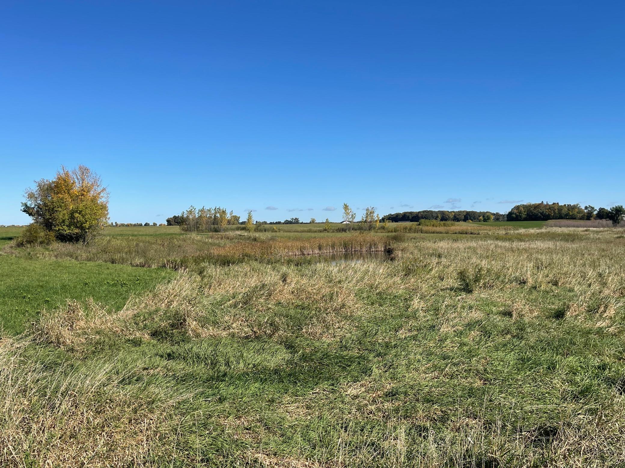 View of Land at TBD XXX 75th Street, Princeton MN 55371, Princeton (2 of 8) - Mike Wilen | Minnesota Team Real Estate