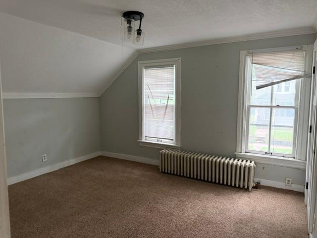 View of Residential at 606 Cook Avenue, Saint Paul MN 55130, Saint Paul (12 of 20) - Mike Wilen | Minnesota Team Real Estate