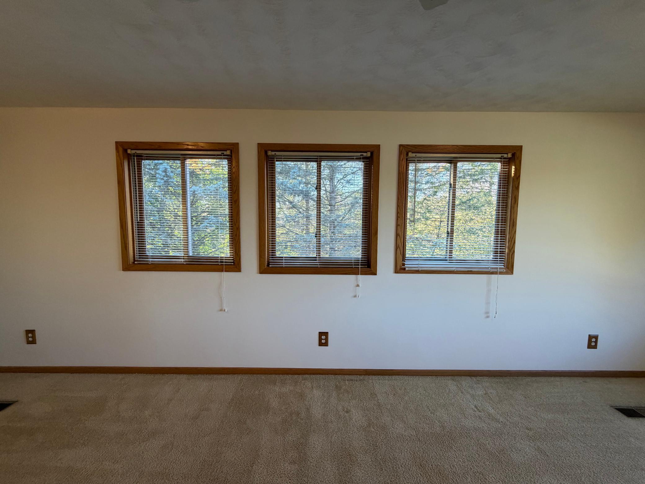 View of Residential at 20370 Enfield Court, Forest Lake MN 55025, Forest Lake (33 of 37) - Mike Wilen | Minnesota Team Real Estate