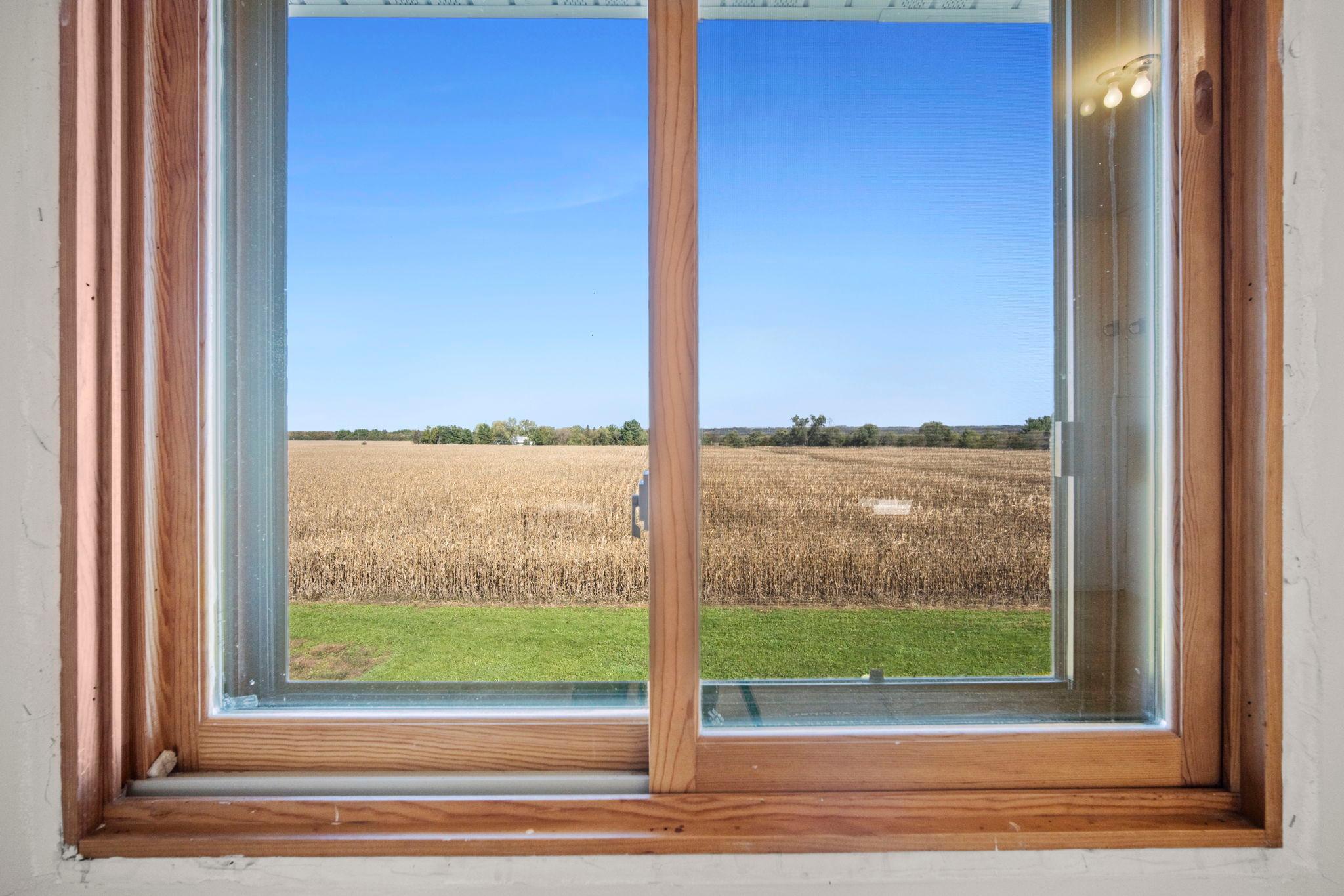 View of Residential at 17140 175th Street, Hastings MN 55033, Hastings (52 of 78) - Mike Wilen | Minnesota Team Real Estate
