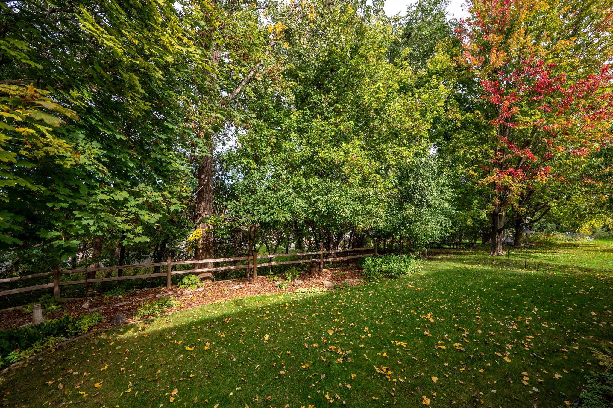 View of Residential at 6229 Juneau Lane, Maple Grove MN 55311, Maple Grove (40 of 40) - Mike Wilen | Minnesota Team Real Estate