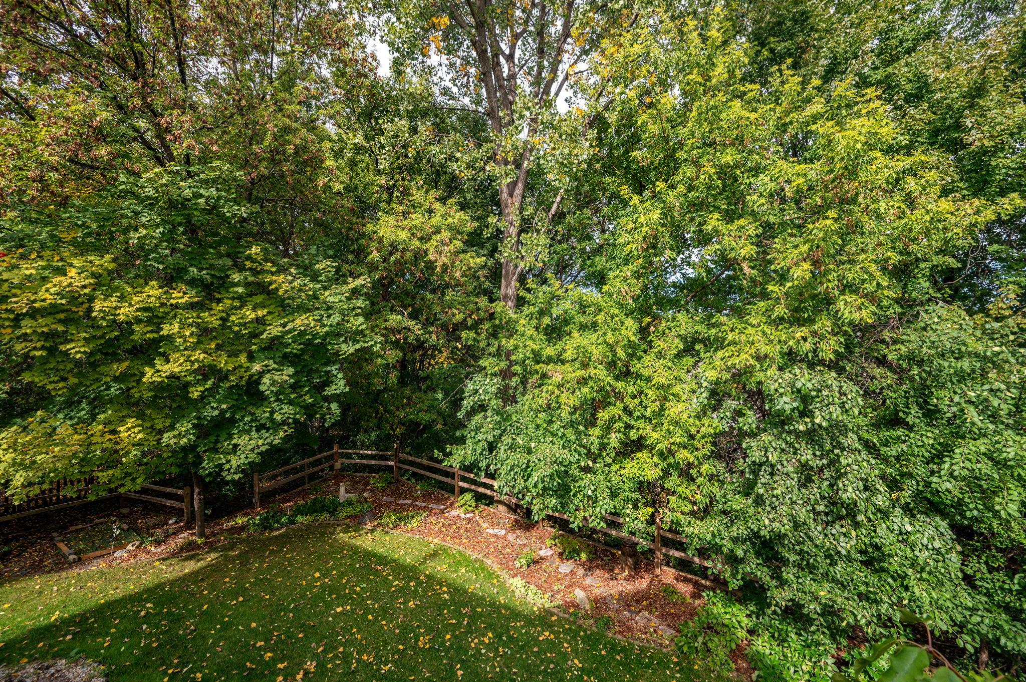 View of Residential at 6229 Juneau Lane, Maple Grove MN 55311, Maple Grove (39 of 40) - Mike Wilen | Minnesota Team Real Estate