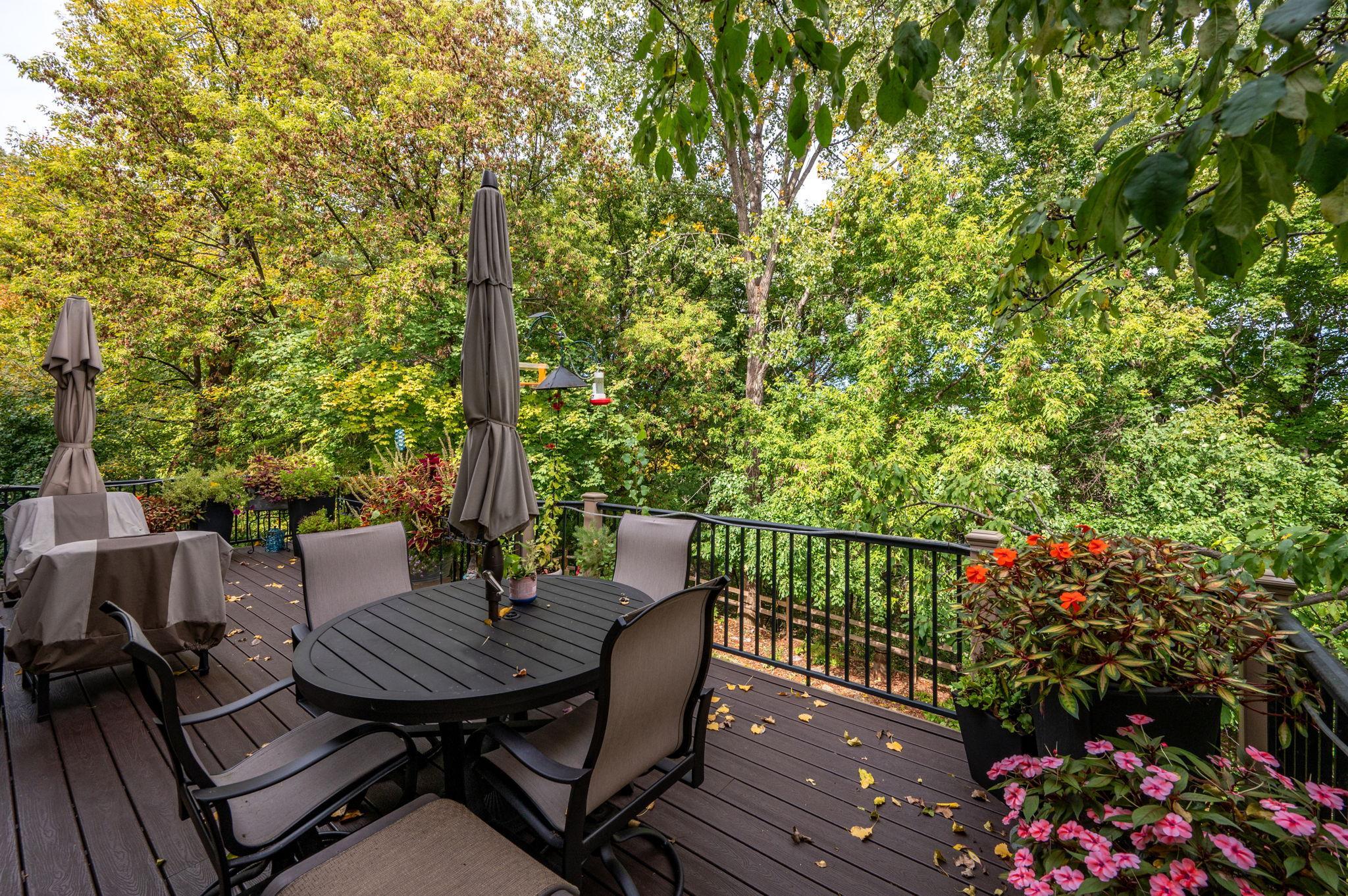 View of Residential at 6229 Juneau Lane, Maple Grove MN 55311, Maple Grove (38 of 40) - Mike Wilen | Minnesota Team Real Estate