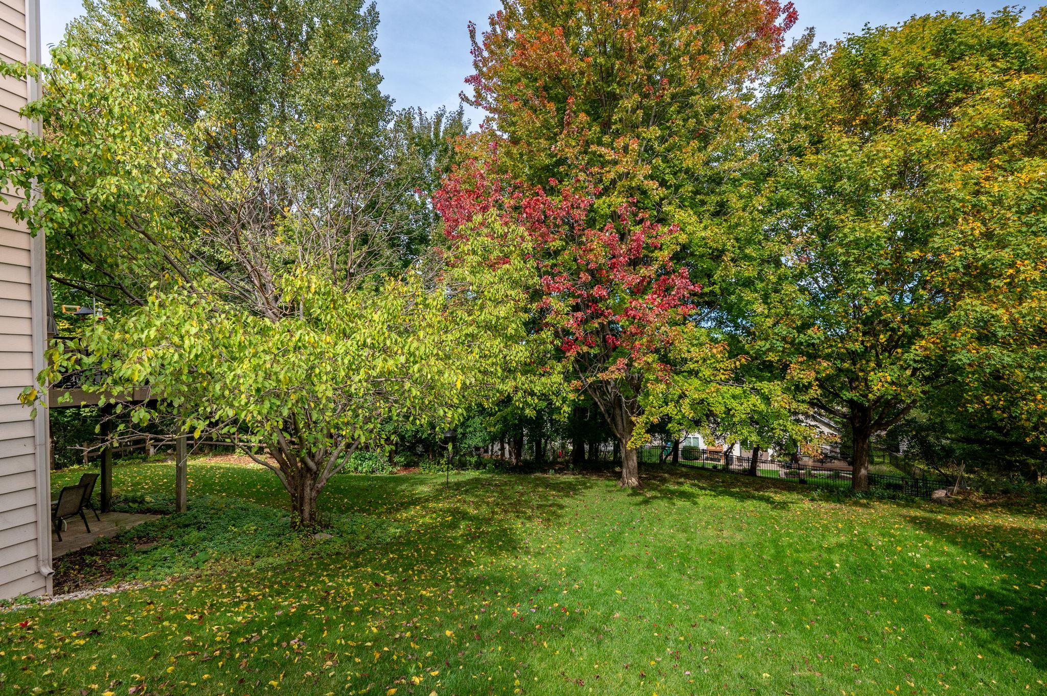 View of Residential at 6229 Juneau Lane, Maple Grove MN 55311, Maple Grove (34 of 40) - Mike Wilen | Minnesota Team Real Estate