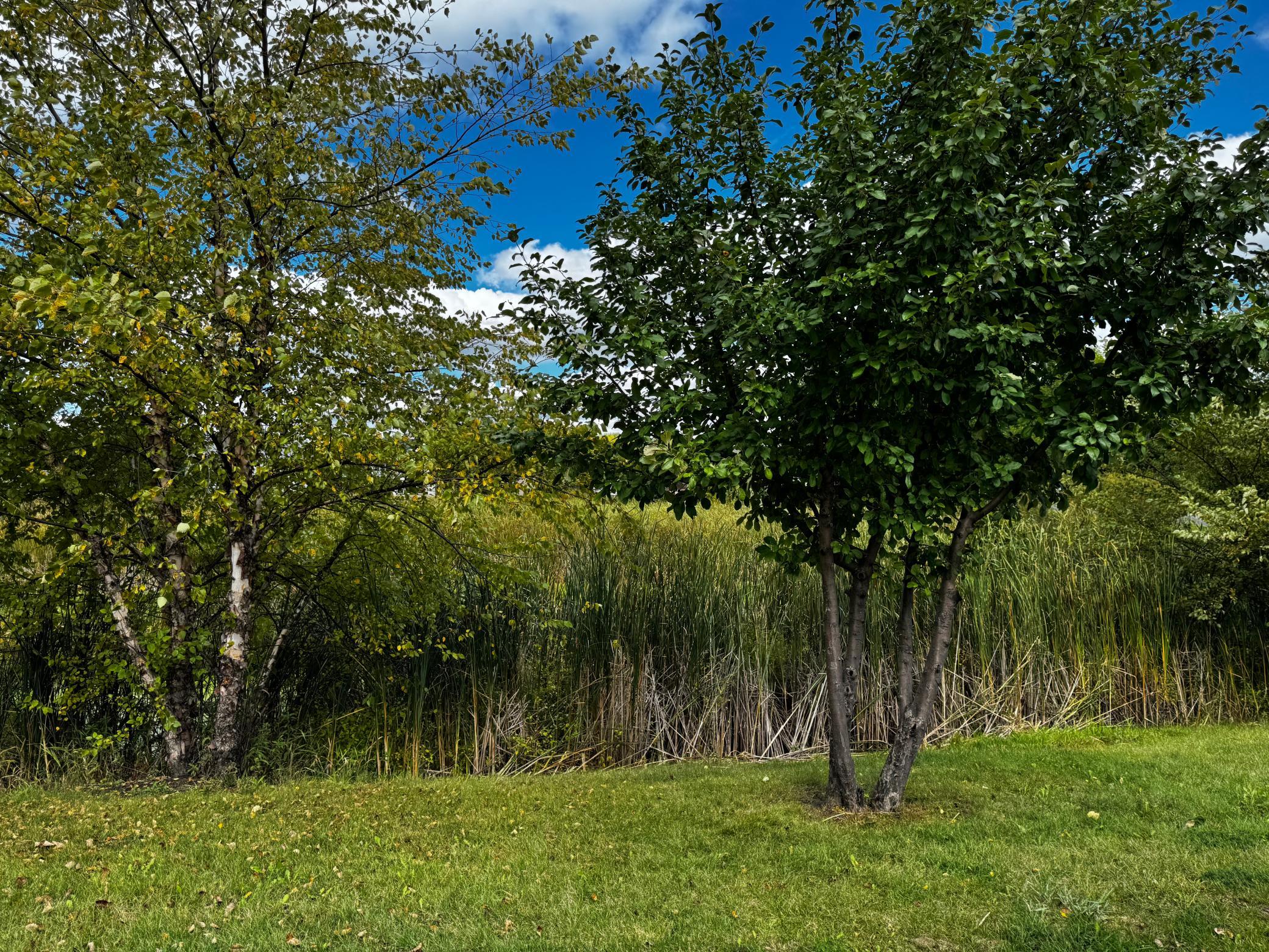 View of Residential at 1806 9th Street Circle, Buffalo MN 55313, Buffalo (38 of 48) - Mike Wilen | Minnesota Team Real Estate