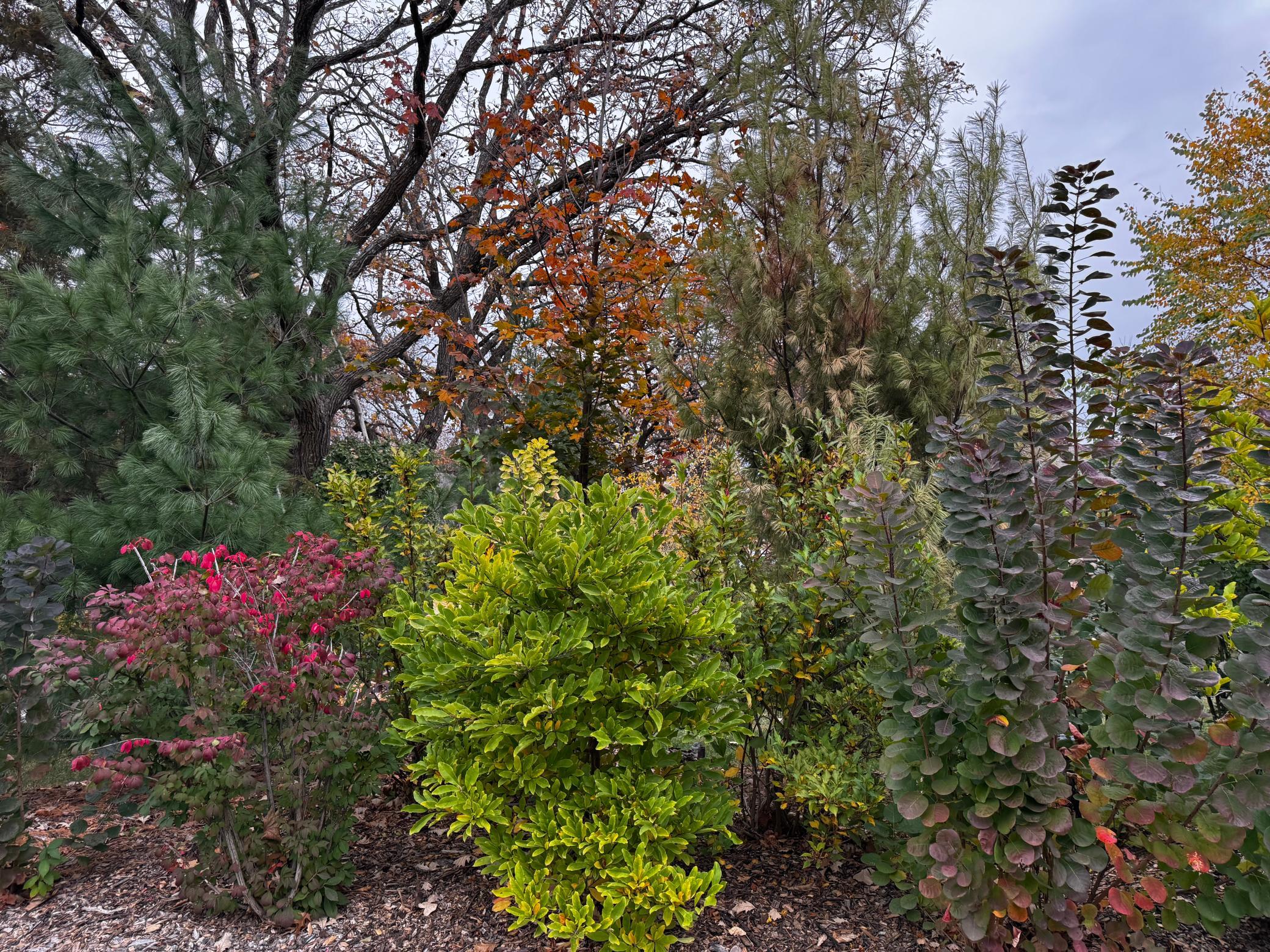 View of Residential at 1806 9th Street Circle, Buffalo MN 55313, Buffalo (47 of 48) - Mike Wilen | Minnesota Team Real Estate