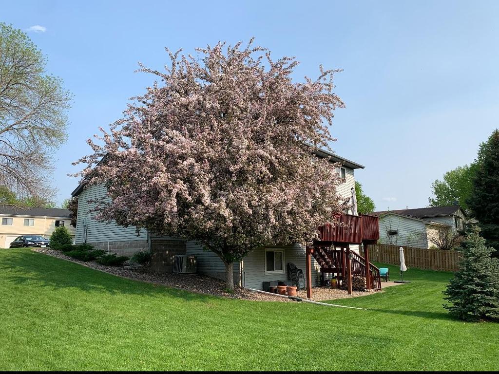 View of Residential at 15601 Claret Avenue, Rosemount MN 55068, Rosemount (33 of 34) - Mike Wilen | Minnesota Team Real Estate