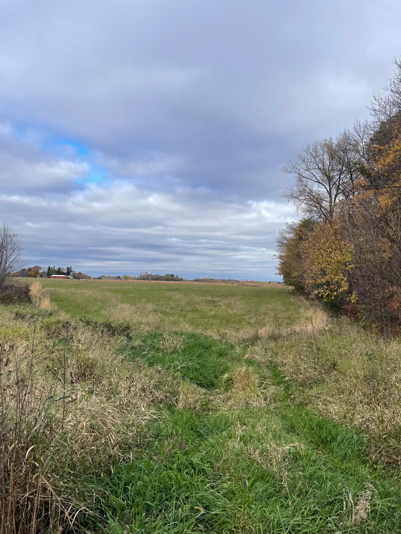 View of Land at TBD 75th Street, Princeton MN 55371, Princeton (2 of 2) - Mike Wilen | Minnesota Team Real Estate