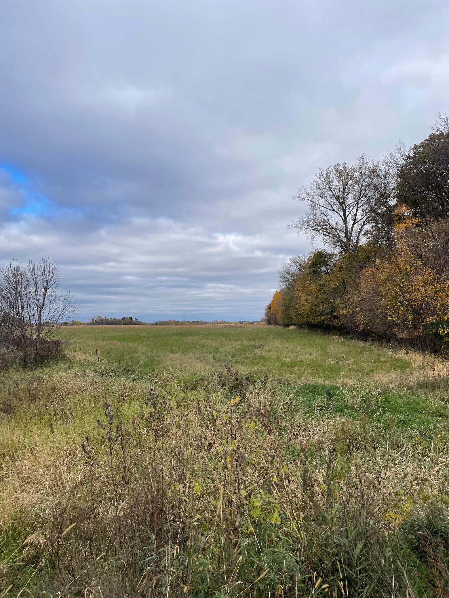 View of Residential Lot at TBD 75th Street, Princeton - Mike Wilen | Minnesota Team Real Estate