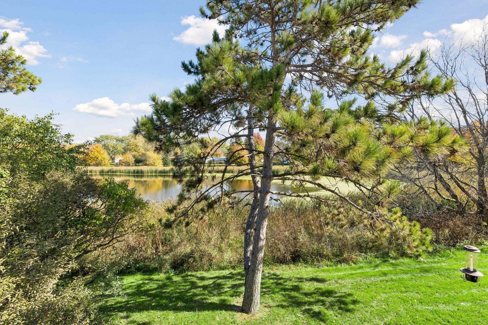 View of Residential at 10348 Yorktown Lane, Maple Grove MN 55369, Maple Grove (9 of 43) - Mike Wilen | Minnesota Team Real Estate