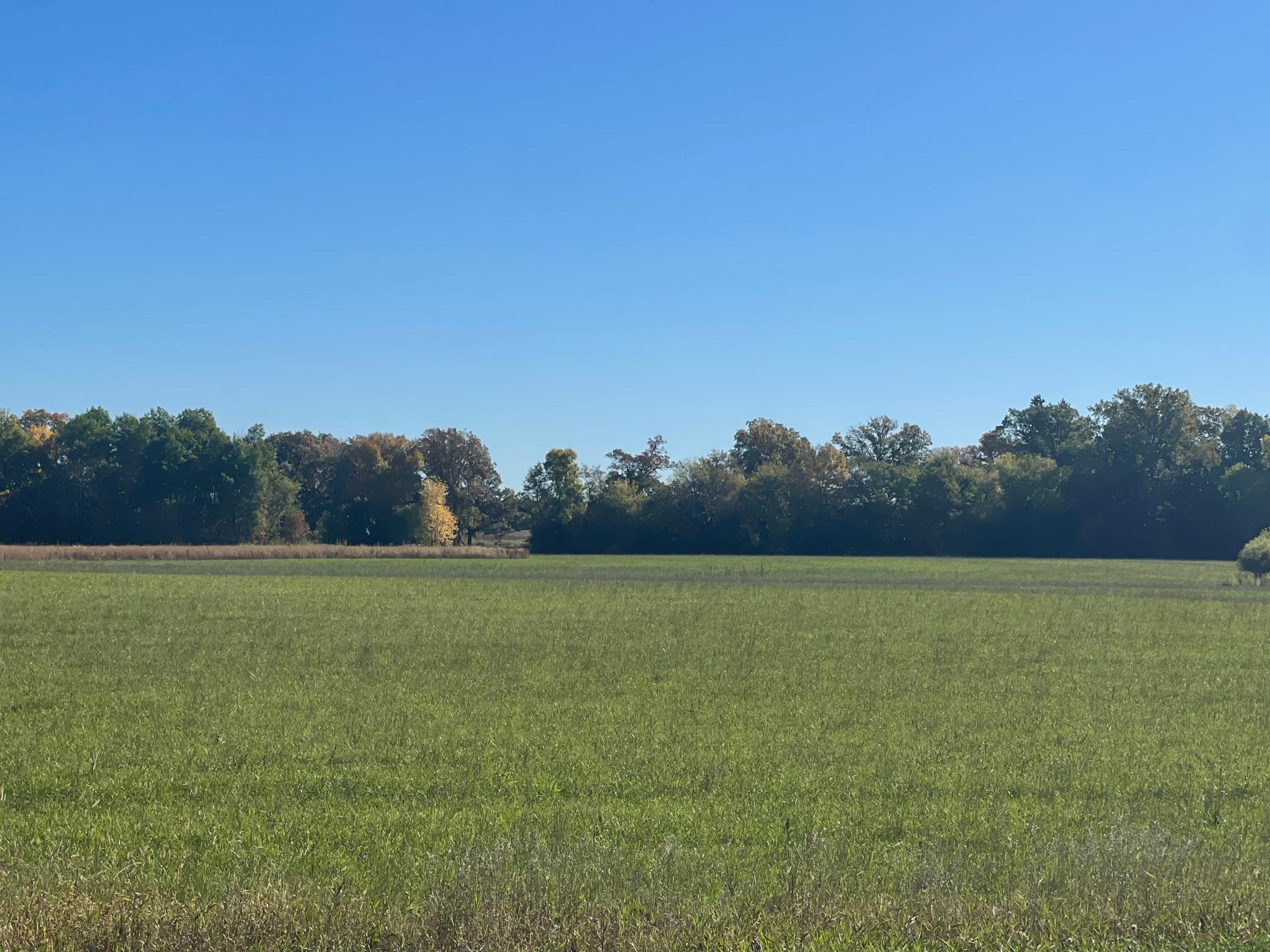 View of Land at TBD XXX 85th Avenue, Lot 4, Princeton MN 55371, Princeton (4 of 4) - Mike Wilen | Minnesota Team Real Estate