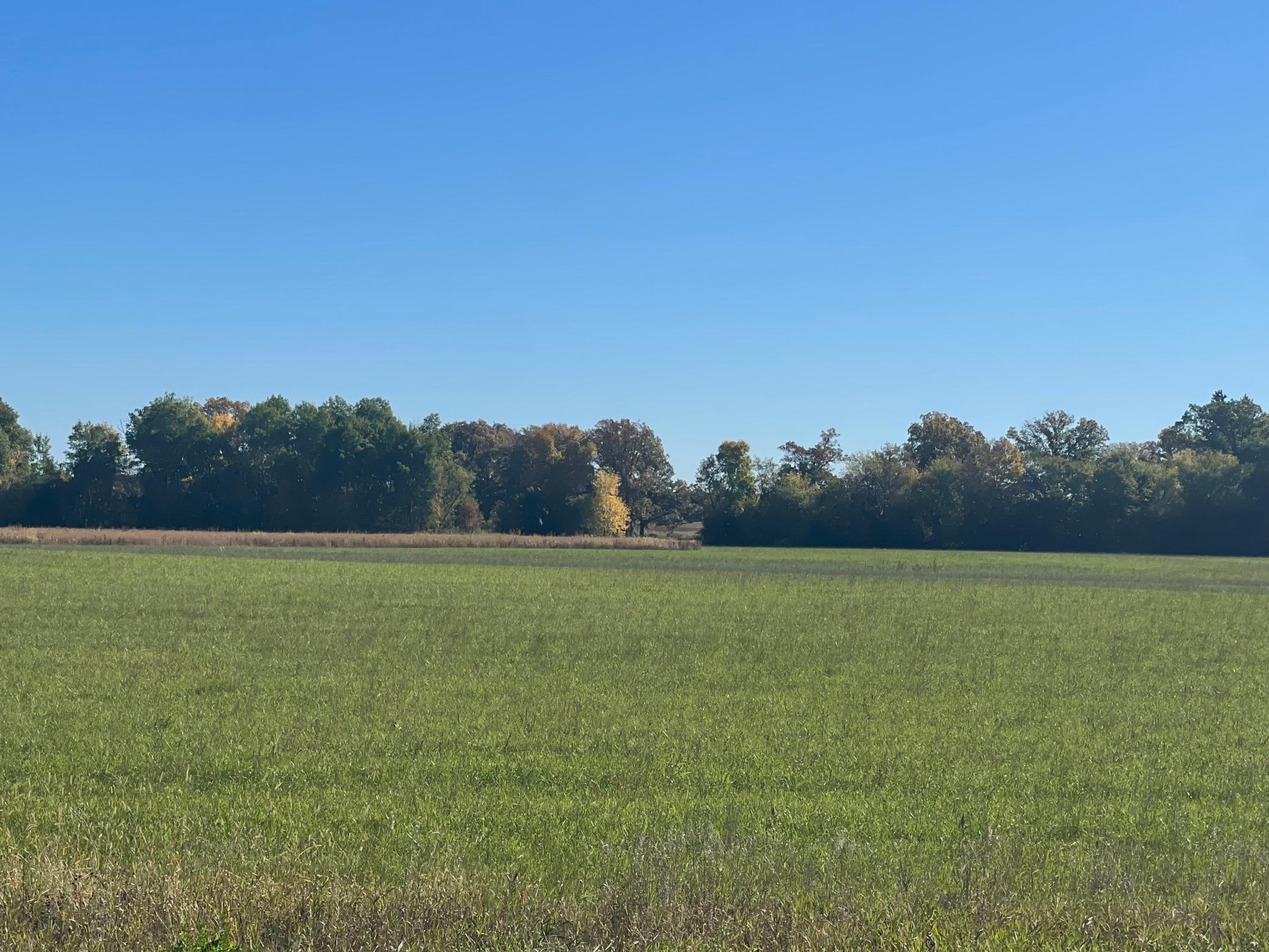 View of Land at TBD XXX 85th Avenue, Lot 4, Princeton MN 55371, Princeton (3 of 4) - Mike Wilen | Minnesota Team Real Estate