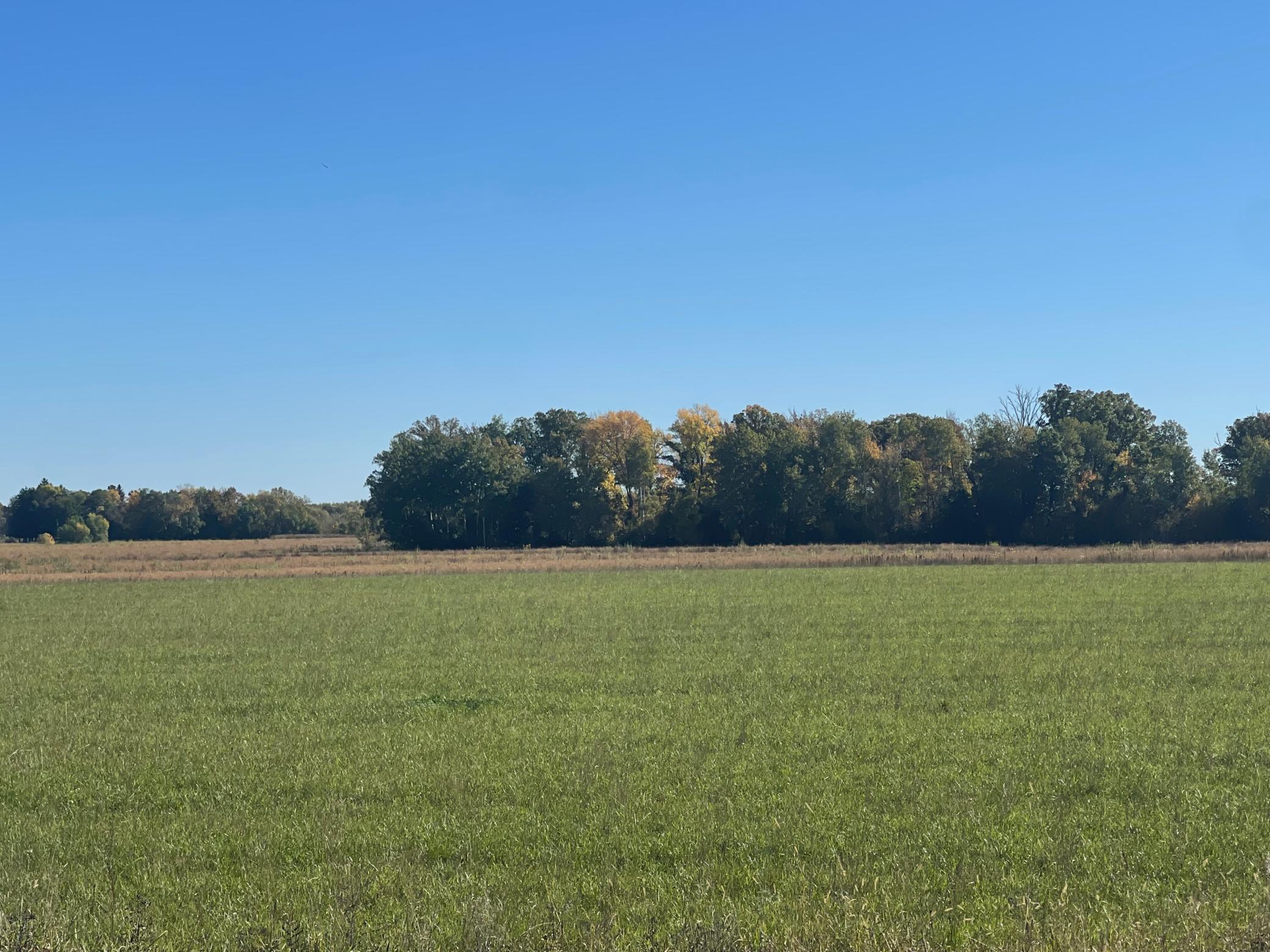 View of Land at TBD XXX 85th Avenue, Lot 4, Princeton MN 55371, Princeton (2 of 4) - Mike Wilen | Minnesota Team Real Estate