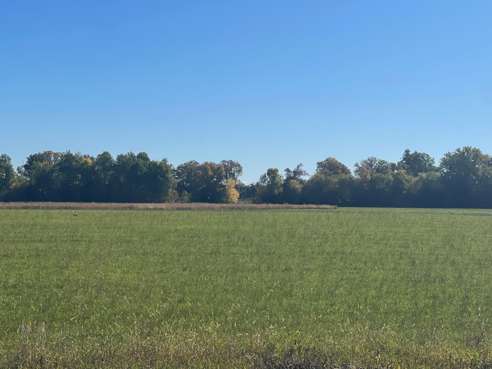 View of Residential Lot at TBD XXX 85th Avenue, Lot 4, Princeton - Mike Wilen | Minnesota Team Real Estate