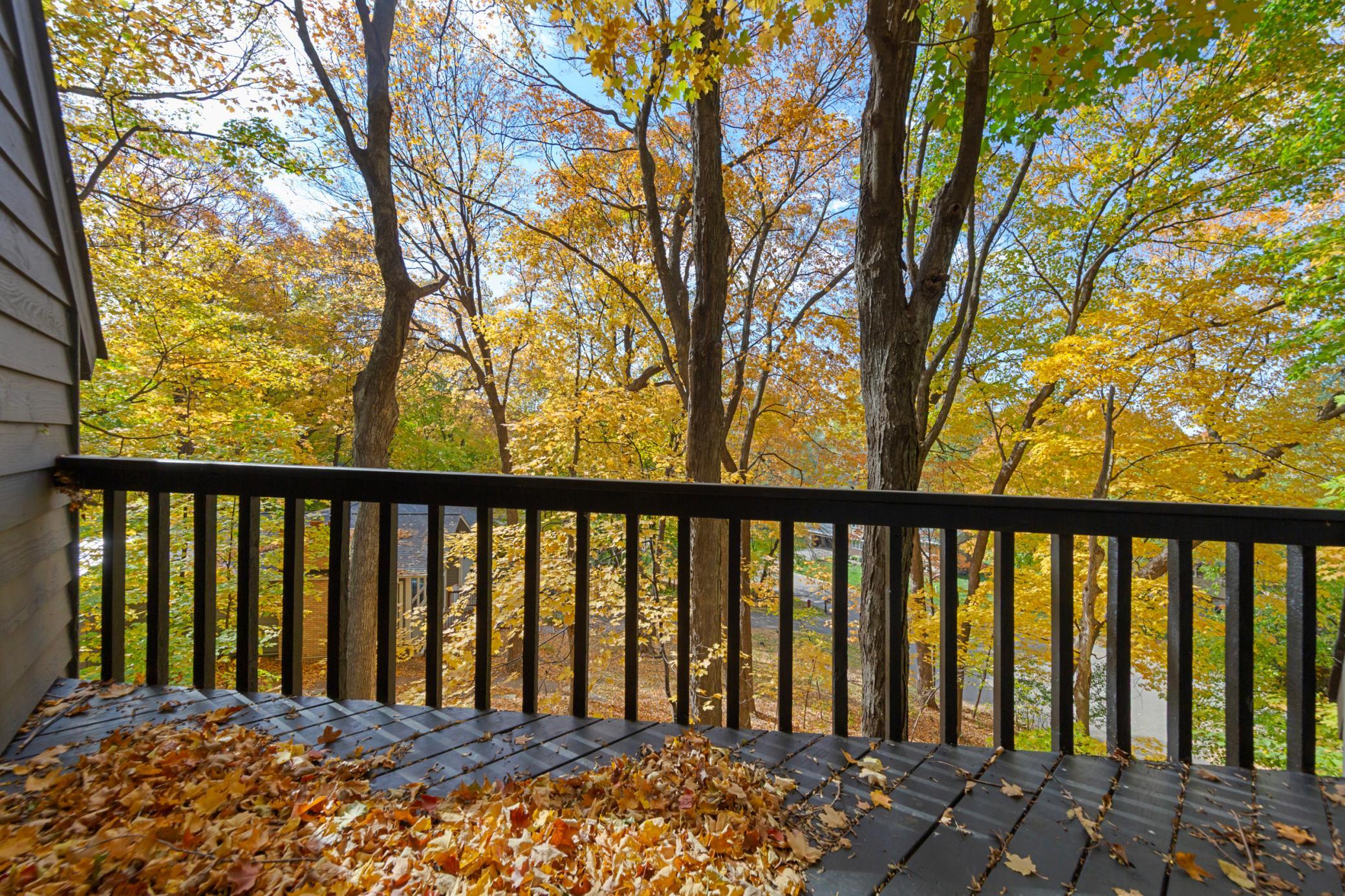 View of Residential at 16509 Lake Street Extension, Minnetonka MN 55345, Minnetonka (26 of 31) - Mike Wilen | Minnesota Team Real Estate