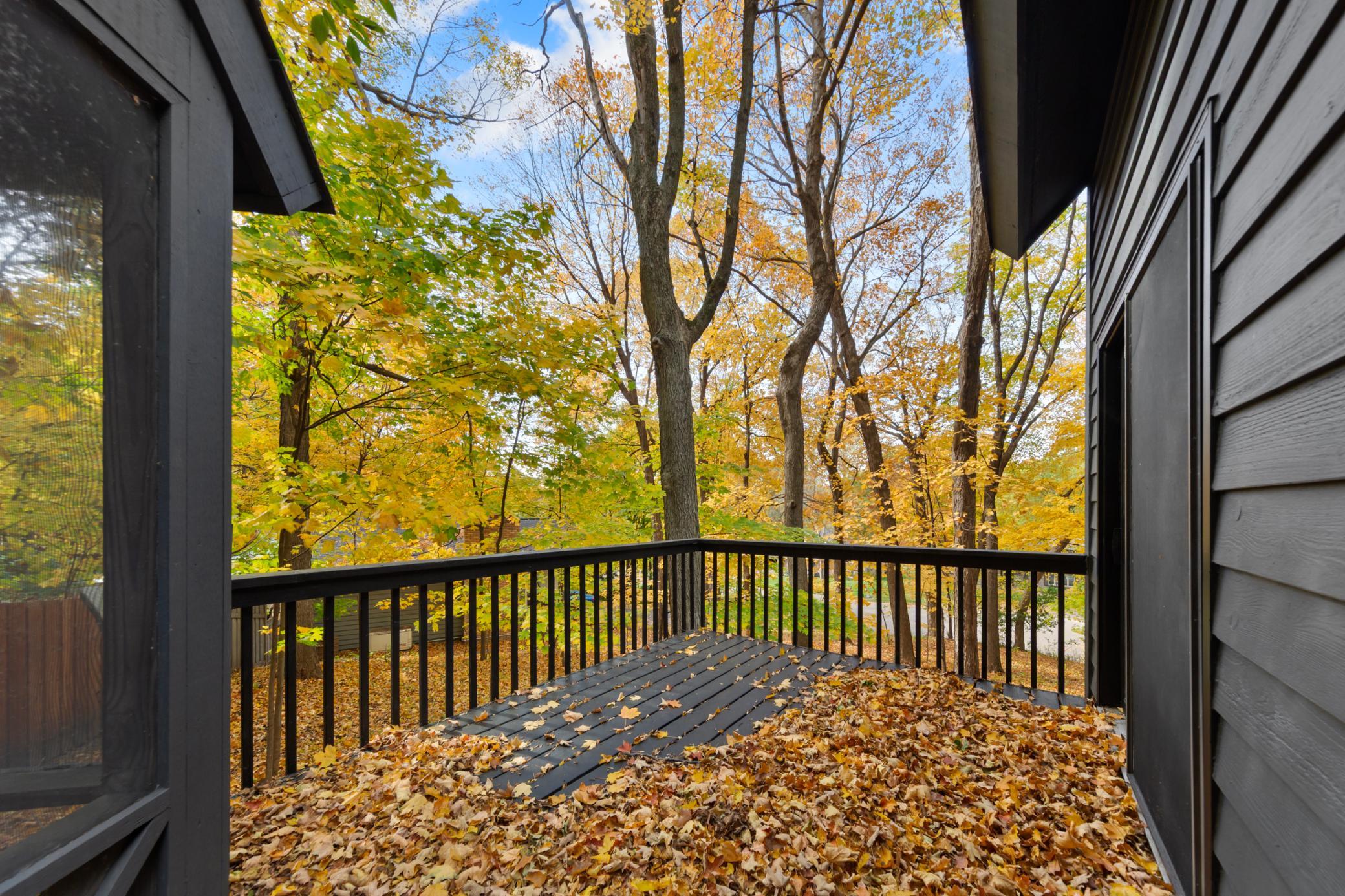 View of Residential at 16509 Lake Street Extension, Minnetonka MN 55345, Minnetonka (27 of 31) - Mike Wilen | Minnesota Team Real Estate