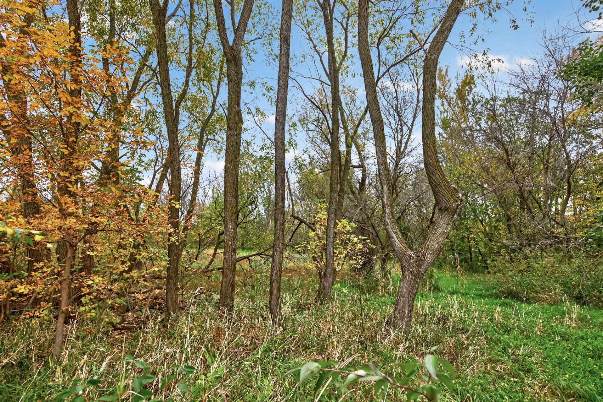 View of Residential at 1115 Mulberry Avenue, Montgomery MN 56069, Montgomery (44 of 44) - Mike Wilen | Minnesota Team Real Estate