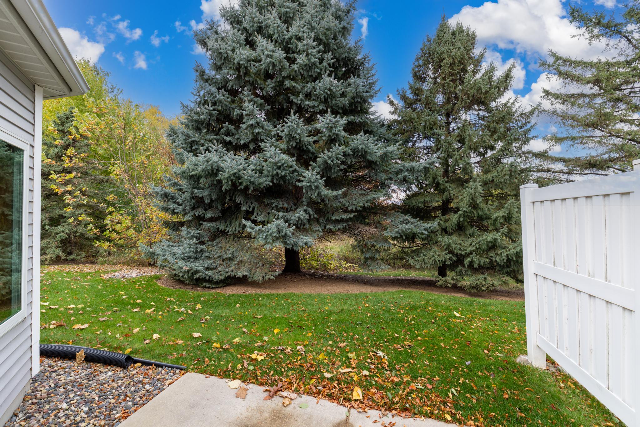 View of Residential at 689 Lake View Echo, Woodbury MN 55129, Woodbury (23 of 23) - Mike Wilen | Minnesota Team Real Estate