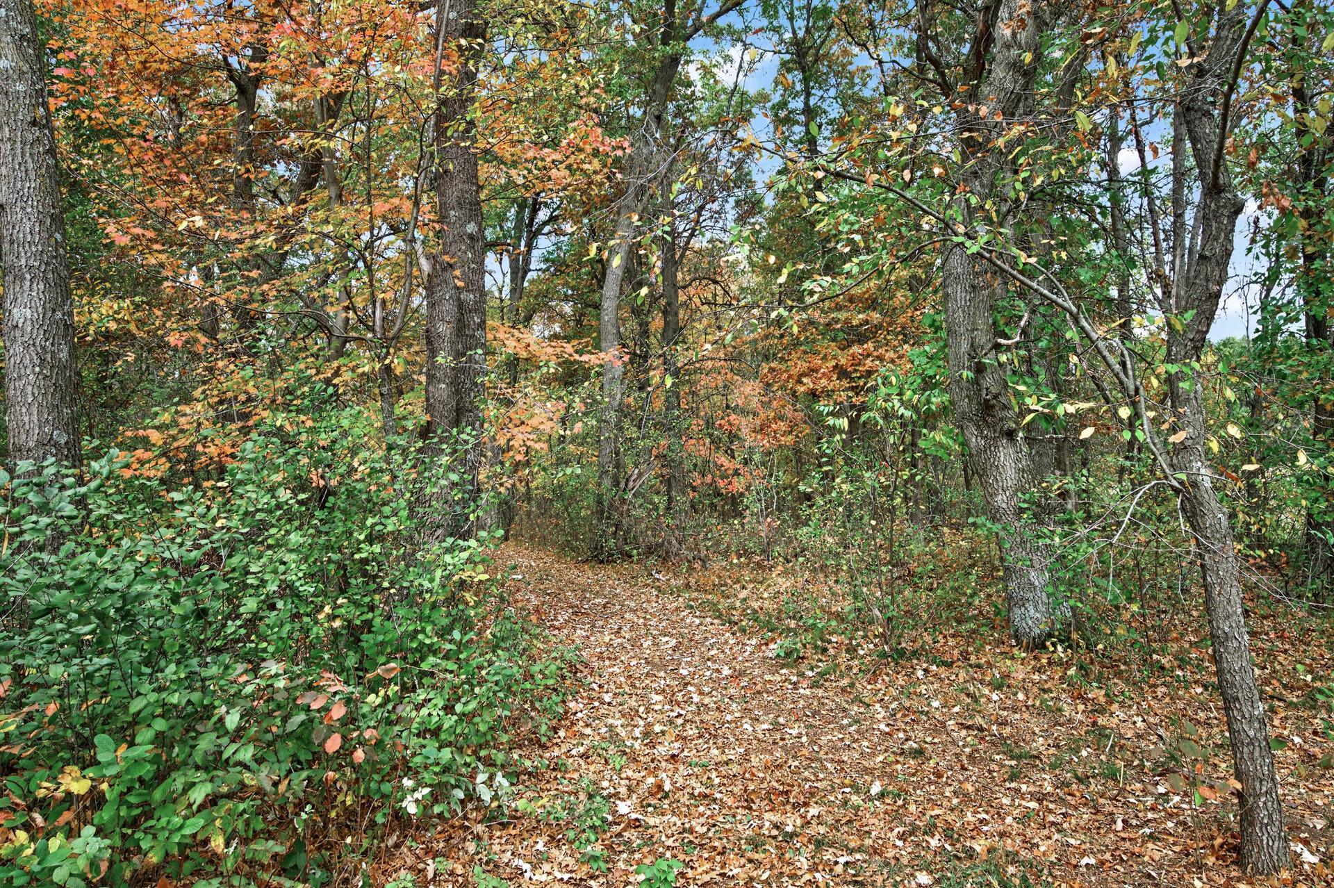 View of Residential at 593 261st Avenue, Isanti MN 55040, Isanti (26 of 32) - Mike Wilen | Minnesota Team Real Estate