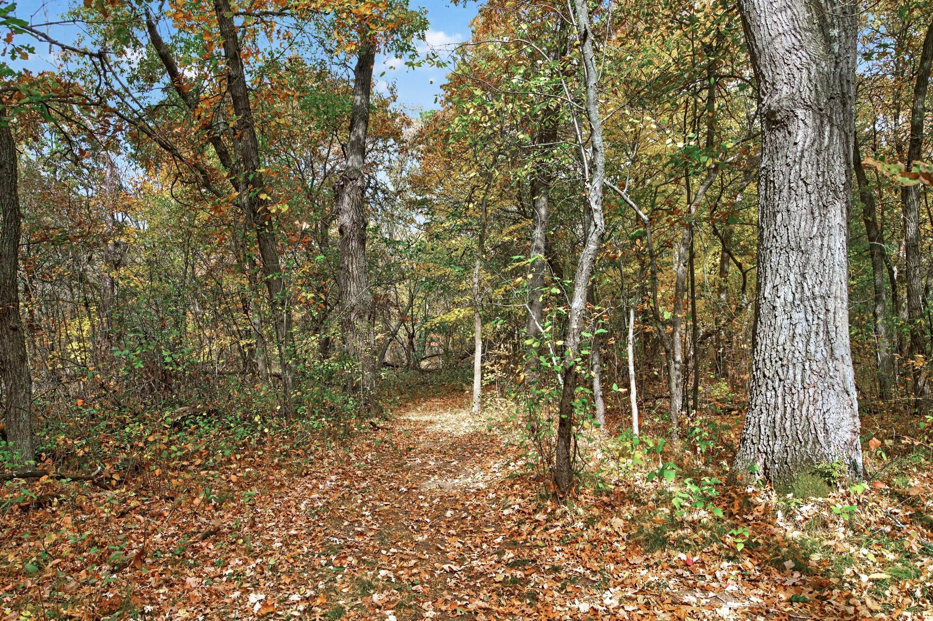 View of Residential at 593 261st Avenue, Isanti MN 55040, Isanti (25 of 32) - Mike Wilen | Minnesota Team Real Estate