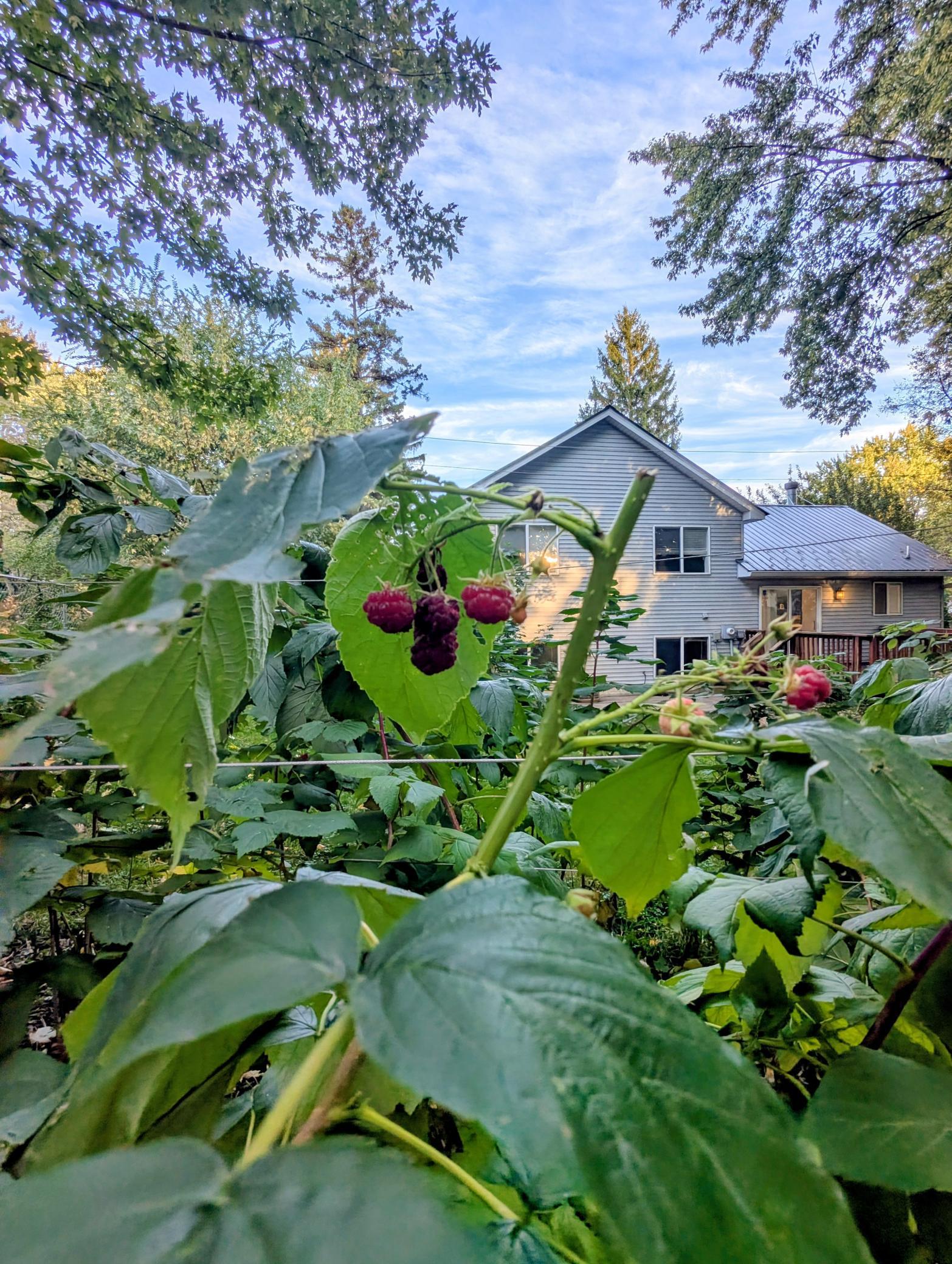 View of Residential at 3117 Douglas Drive, Crystal MN 55422, Crystal (4 of 36) - Mike Wilen | Minnesota Team Real Estate