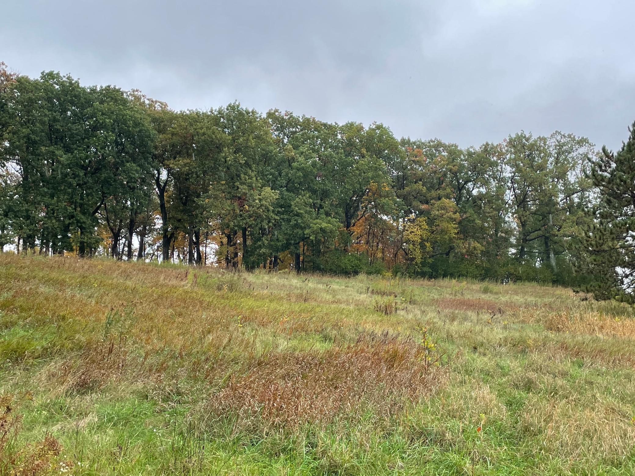 View of Land at 5460 Vicksburg Lane, Plymouth MN 55446, Plymouth (33 of 34) - Mike Wilen | Minnesota Team Real Estate