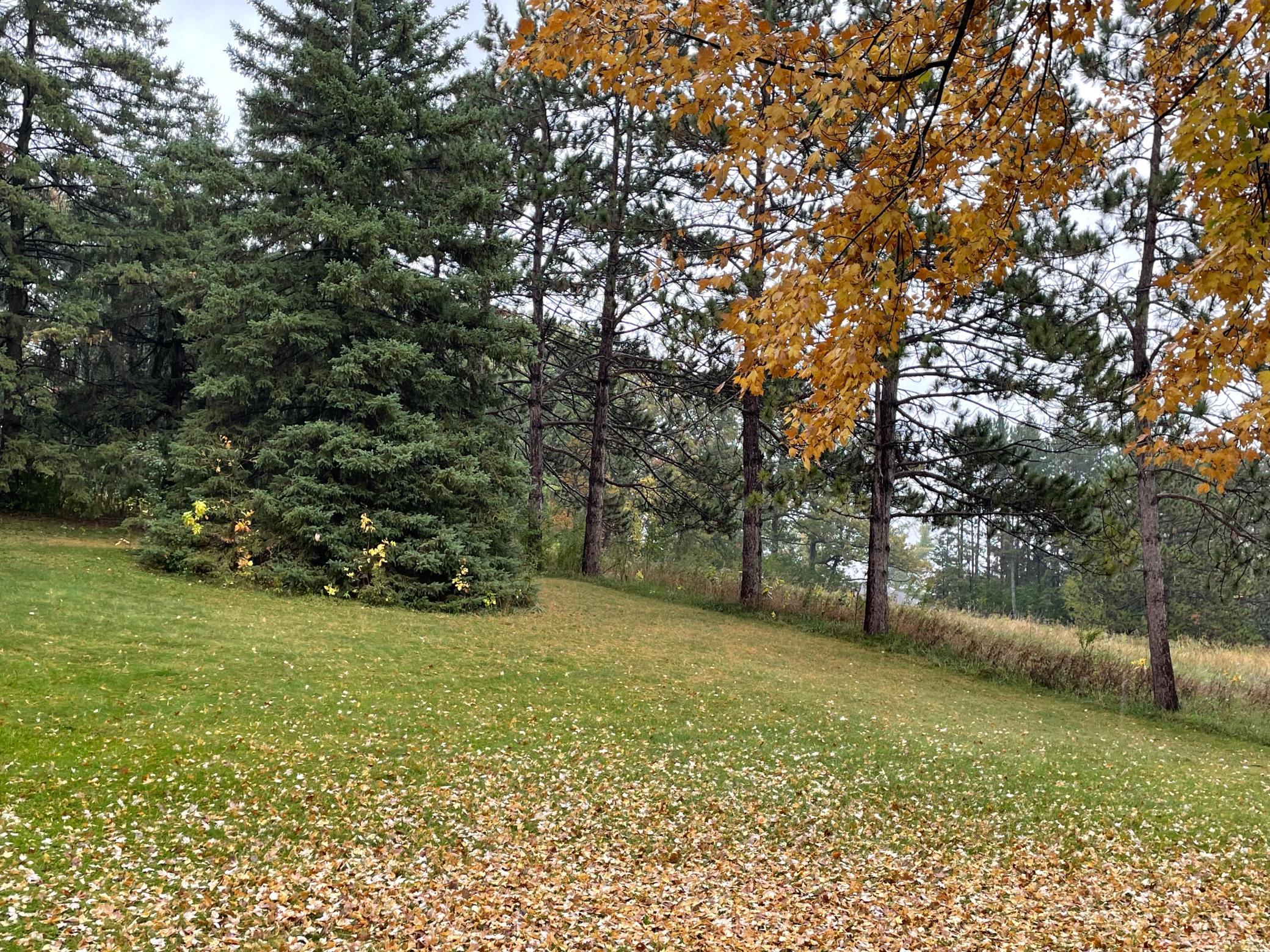 View of Land at 5460 Vicksburg Lane, Plymouth MN 55446, Plymouth (27 of 34) - Mike Wilen | Minnesota Team Real Estate