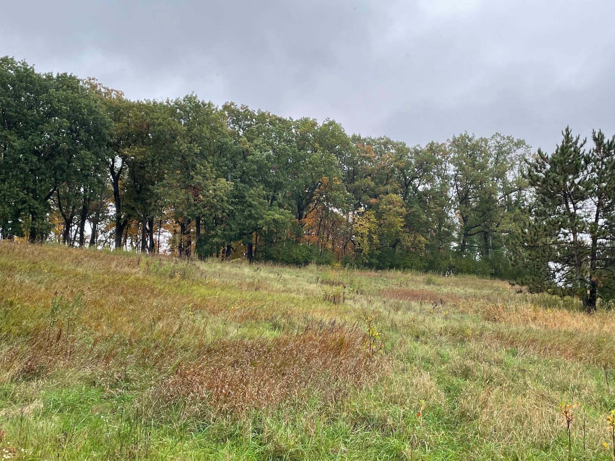 View of Land at 5460 Vicksburg Lane, Plymouth MN 55446, Plymouth (26 of 34) - Mike Wilen | Minnesota Team Real Estate