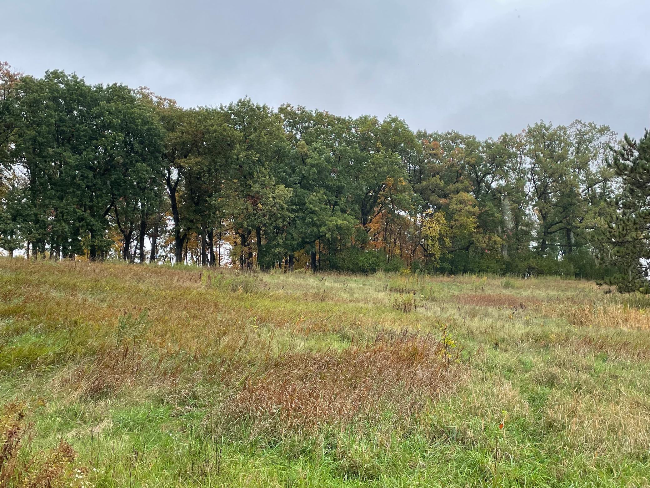 View of Land at 5460 Vicksburg Lane, Plymouth MN 55446, Plymouth (24 of 34) - Mike Wilen | Minnesota Team Real Estate