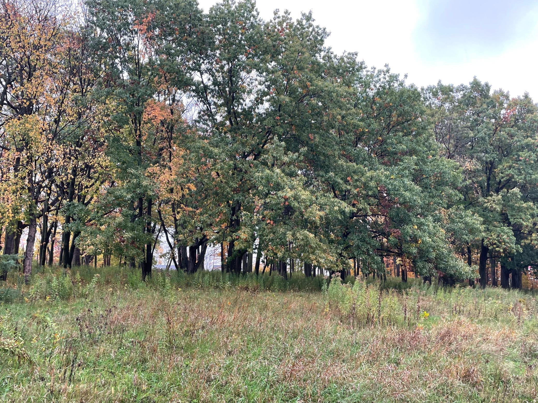 View of Land at 5460 Vicksburg Lane, Plymouth MN 55446, Plymouth (17 of 34) - Mike Wilen | Minnesota Team Real Estate